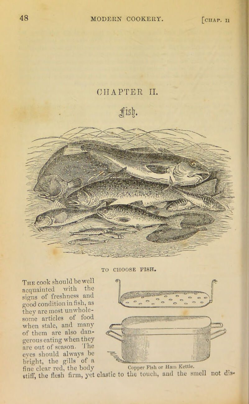 TO CHOOSE FISH. TnE cook should be well acquainted with the signs of freshness and good condition in fish, as they are most unwhole- some articles of food when stale, and man)' of them are also dan- gerous eating when they are out of season. 1 he eyes should always be bright, the gills of a fine clear red, the body stiff, the flesh firm, yet Copper Fish or Ham Kettle. elastic to the touch, and the smell not dis*