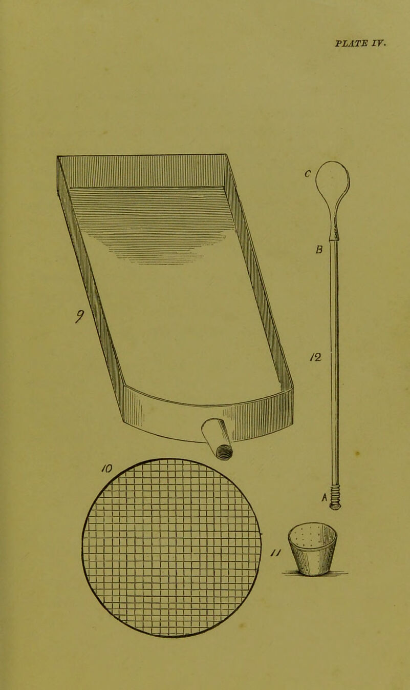 PLATE IV. ItSHB