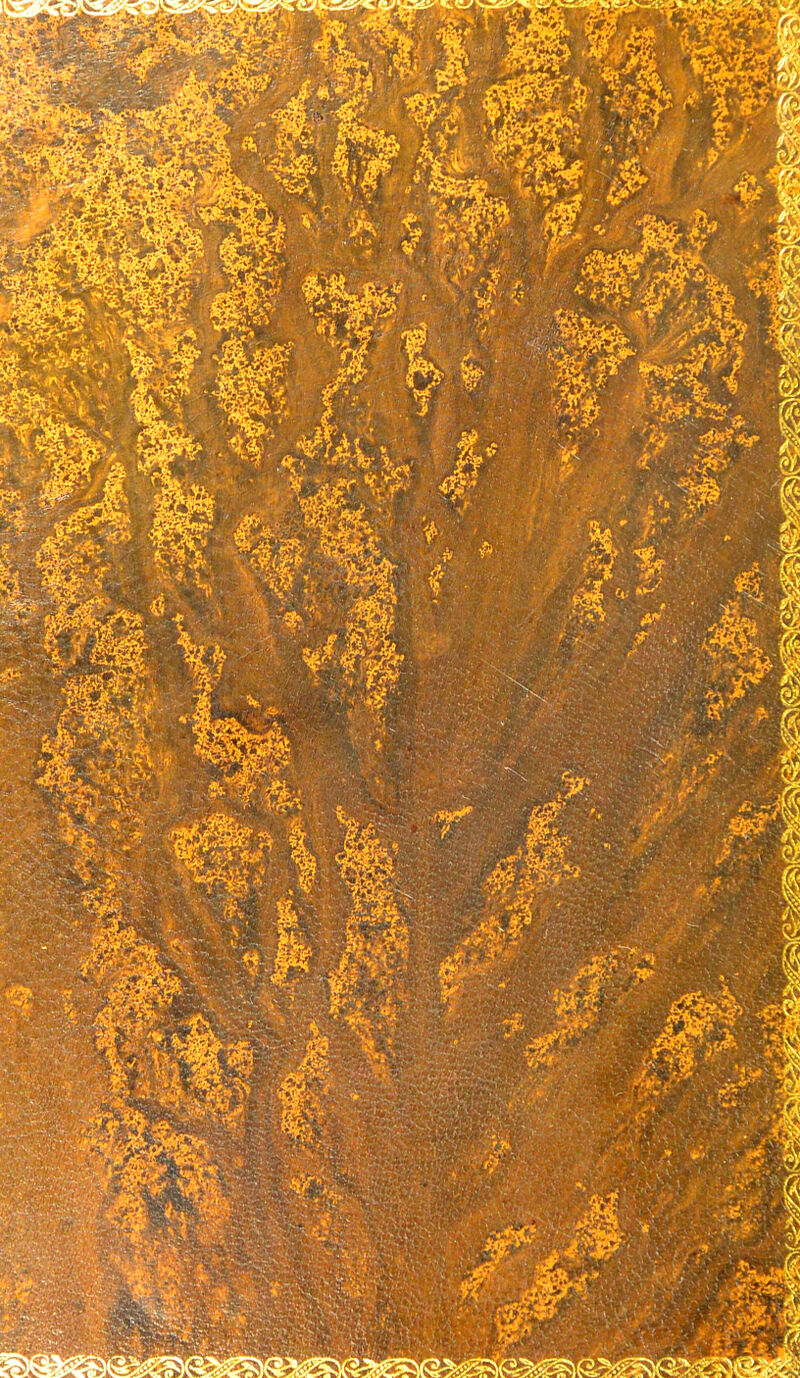 No text description is available for this image