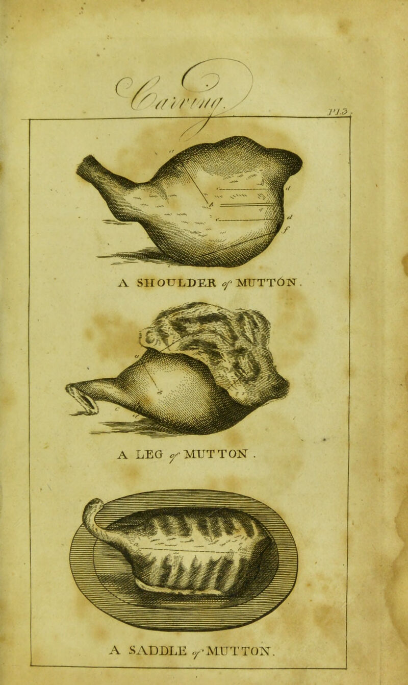 A SHOULDER of MUTTON . A SADDLE r*MUTTON.