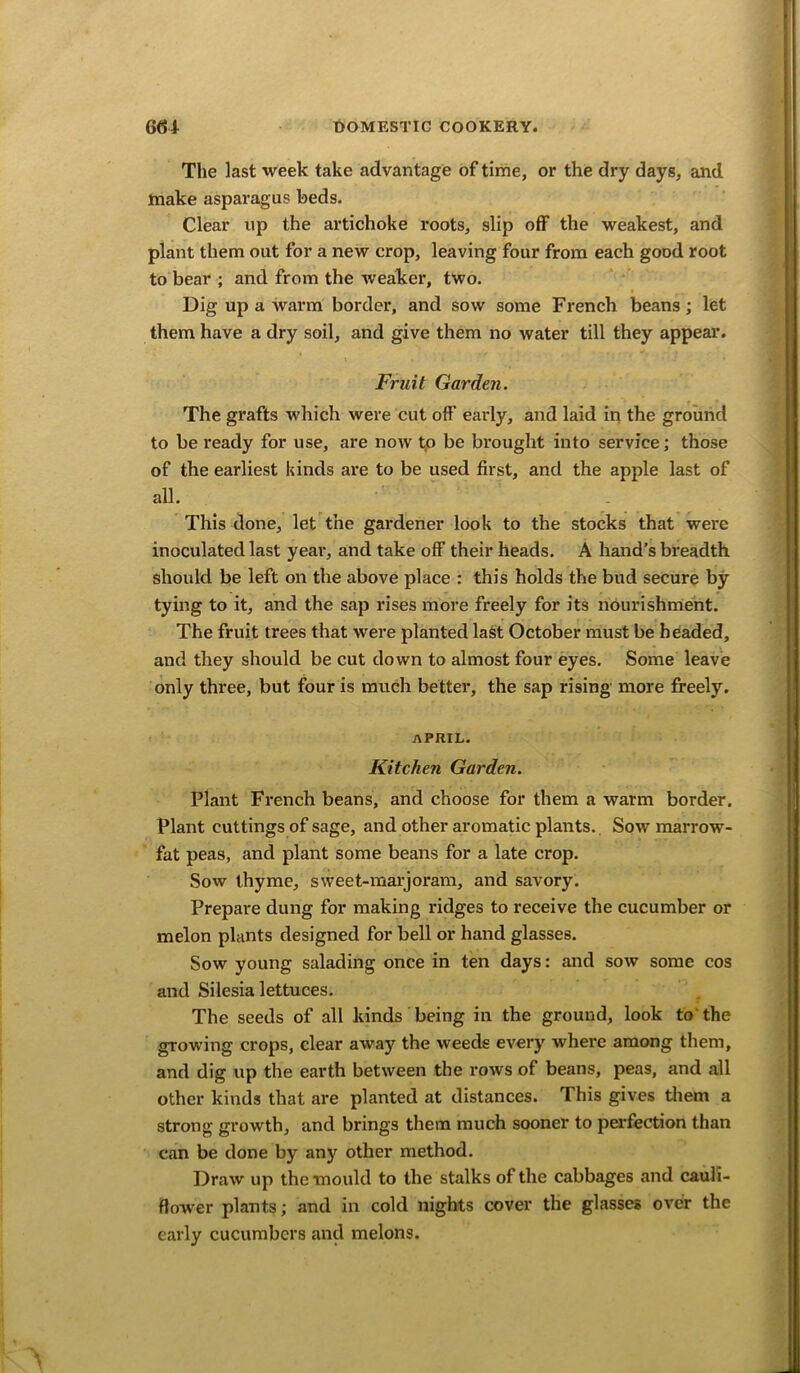 The last week take advantage of time, or the dry days, and make asparagus beds. Clear up the artichoke roots, slip off the weakest, and plant them out for a new crop, leaving four from each good root to bear ; and from the weaker, two. Dig up a warm border, and sow some French beans; let them have a dry soil, and give them no water till they appear. Fruit Garden. The grafts which were cut off early, and laid in the ground to be ready for use, are now t,o be brought into service; those of the earliest kinds are to be used first, and the apple last of all. This done, let the gardener look to the stocks that were inoculated last year, and take off their heads. A hand’s breadth should be left on the above place : this holds the bud secure by tying to it, and the sap rises more freely for its nourishment. The fruit trees that were planted last October must be headed, and they should be cut down to almost four eyes. Some leave only three, but four is much better, the sap rising more freely. APRIL. Kitchen Garden. Plant French beans, and choose for them a warm border. Plant cuttings of sage, and other aromatic plants. Sow marrow- fat peas, and plant some beans for a late crop. Sow thyme, sweet-marjoram, and savory. Prepare dung for making ridges to receive the cucumber or melon plants designed for bell or hand glasses. Sow young salading once in ten days: and sow some cos and Silesia lettuces. The seeds of all kinds being in the ground, look to'the growing crops, clear away the weeds every where among them, and dig up the earth between the rows of beans, peas, and all other kinds that are planted at distances. This gives them a strong growth, and brings them much sooner to perfection than can be done by any other method. Draw up the mould to the stalks of the cabbages and cauli- flower plants; and in cold nights cover the glasses over the early cucumbers and melons.