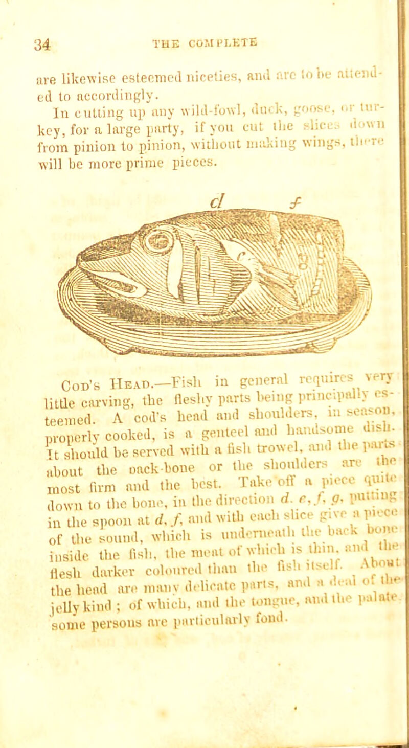 lire likewise esleenml niceties, an3 ei'c tnou niteiiJ- ed to accordingly. In cutting up iiny wild-fowl, dink, goose, or tur- key, for a large party, if you cut llie slno .. down from pinion to pinion, witlioiit making wings, lie-re will be more prime pieces. Cod’s Head.—Fish in general rerpiires Ncry little carving, the fleshy parts being principally es- teemed. A cod’s head and shoulders, iii season, properly cooked, is a genteel and handsome disli. n should be served with a fish trowel, and the parus ,‘iboiit the pack bone or the most firm and the best. Takeoff 1‘'« J ' down to the bone, in the direction d. r,f. a. putting in the s,.oon at d.f, and with each slice gtve a pu^e of the sound, which is nmb-meath the back bo n inside the fish. >''«'’'’’'‘1 ';'‘'|V^'*‘'\V’’1bort llesh darker coloured than the ttsh itself, .Ib^t the head are manv delicate parts, and a deal of t o jelly kind ; of which, and the tongue, and the j.alate some persons are particularly foud.