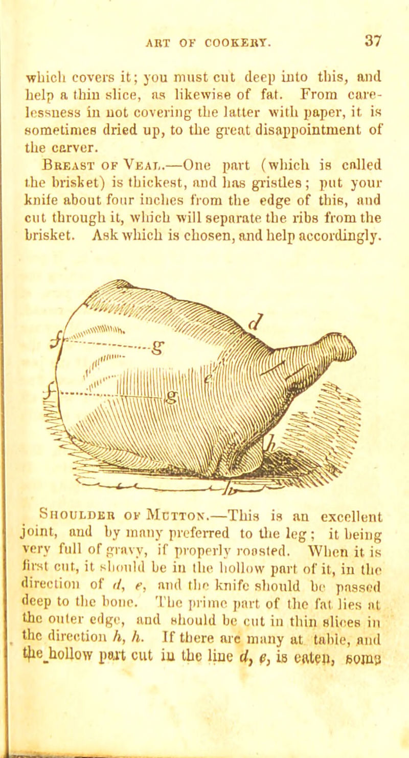 ■whicli covers it; you must cut deep Luto this, and help a Ihiu slice, as likewise of fat. From care- lessuess iu uot covering the latter with paper, it is sometimes dried up, to the great disappointment of the carver. Breast OF Veat..—One part (which is called the brisket) is thickest, and has gristles; put your knile about four inches from the edge of this, and cut through it, which will separate the ribs from the brisket. Ask which is chosen, and help accordingly. Shoulder of Mutton.—This is an excellent joint, and by many preferred to Uie leg; it being very full of gravy, if properly roasted. When it is lirsl cut, it should be iu llie hollow part of it, in tlie direction of il, e, and the knife should he passed deep to the bone. The prime part of the fat lies at the outer edge, and should be cut in thin slices in the direction /», h. If there arc many at table, and t)ie_hollow pajt cut iu the line d, e, ie ealeti, sojUB