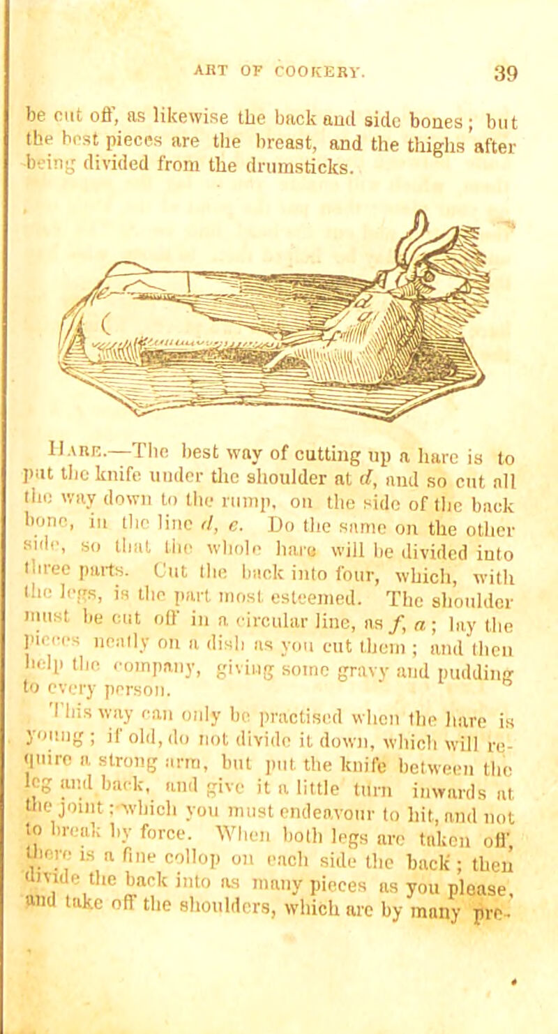 be cut ofi’, os likewise the back aud side bones; but the best pieces are tlie breast, and the thighs after being divided from the drumsticks. IIarf,.—The best way of cutting up a hare is to put the knife under tlie shoulder at d, and so cut all the way down to the riiinp, on the side of llic back bone, in tlie line d, c. I)o the same on the other side, so that tlie wliole liaie will he divided into three parts. Cut the back into four, which, with the legs, is the part most esteemed. The shoulder niust be cut otf in a eircular line, as/, a; lay the pieces neatly on a dish as you cut them ; and then help the company, giving some gravy and pudding to every person. This way can only bo jiractised when the hare is young ; if old, do not divide it down, which will re- Miiirc a strong arm, but put the knife between the leg and back, and give it a little turn inwards at llie joint r-which yon must cmleavonr to hit, and not to hreiik by force. When both legs are taken ofl’ there is a fine collop on each side the hack; then thvide the back into as many pieces as you please, and take off the shoulders, which arc by many pro-