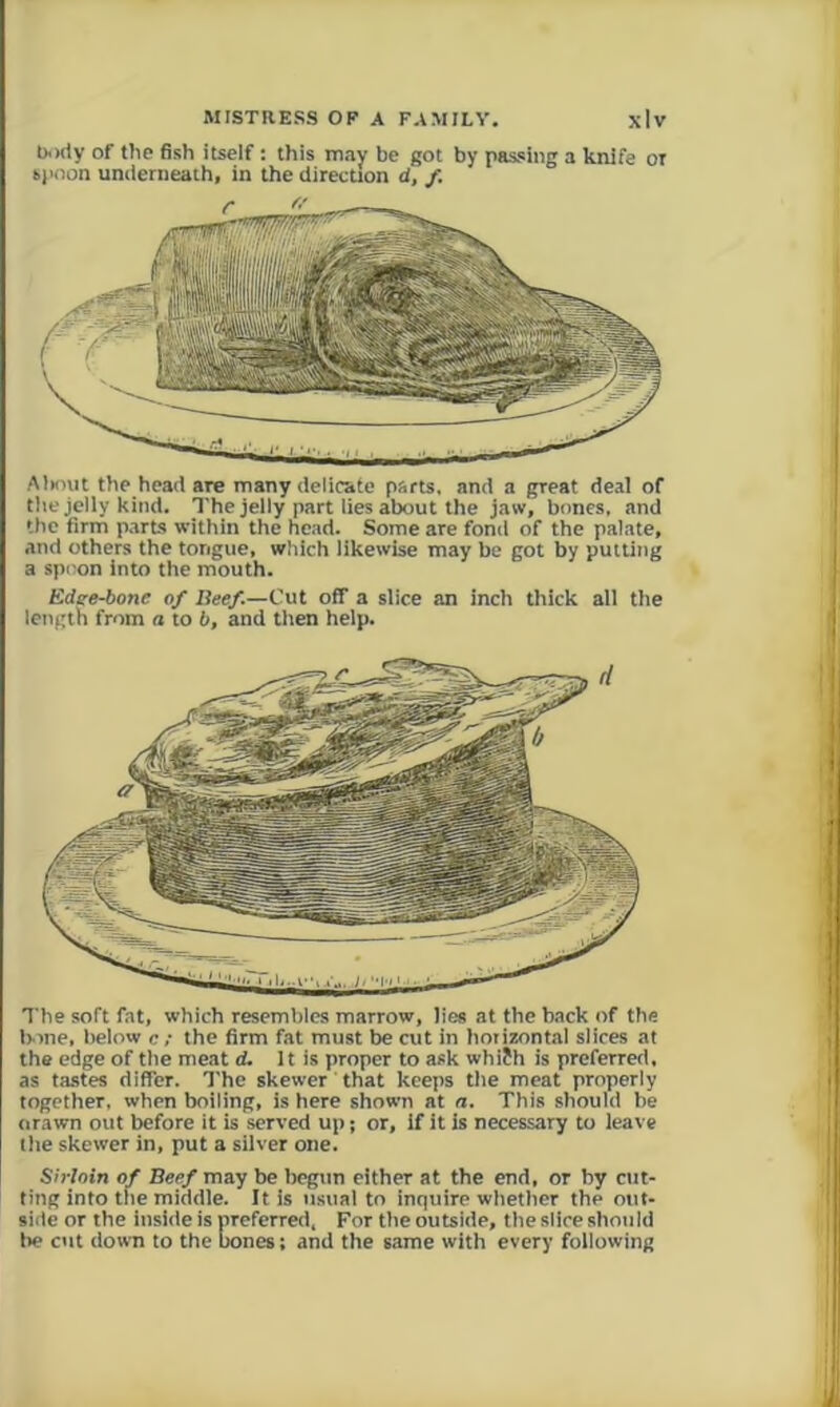 b.)(ty of the fish itself : this may be got by passing a knife or spoon underneath, in the direcuon d, f. AlKHit the head are many delicate parts, and a great deal of tile jelly kind. The jeily part lies about the jaw, bones, and the firm parts within the head. Some are fond of the palate, and others the tongue, which likewise may be got by putting a spi-on into the mouth. Edee-bonc of Ueef—Cut off a slice an inch thick all the length from a to b, and then help. The soft fat, which resembles marrow, lies at the back of the bone, below c ; the firm fat must be cut in hmizontal slices at the edge of the meat d. it is proper to ask whi?h is preferred, as tastes differ. The skewer that keeps the meat properly together, when boiling, is here shown at n. This should be orawn out before it is served up; or, if it is necessary to leave the skewer in, put a silver one. Sirloin of Beef may be begun either at the end, or by cut- ting into the middle. It is usual to inquire whether the out- side or the inside is preferred. For the outside, the slice should lie cut down to the bones: and the same with every following