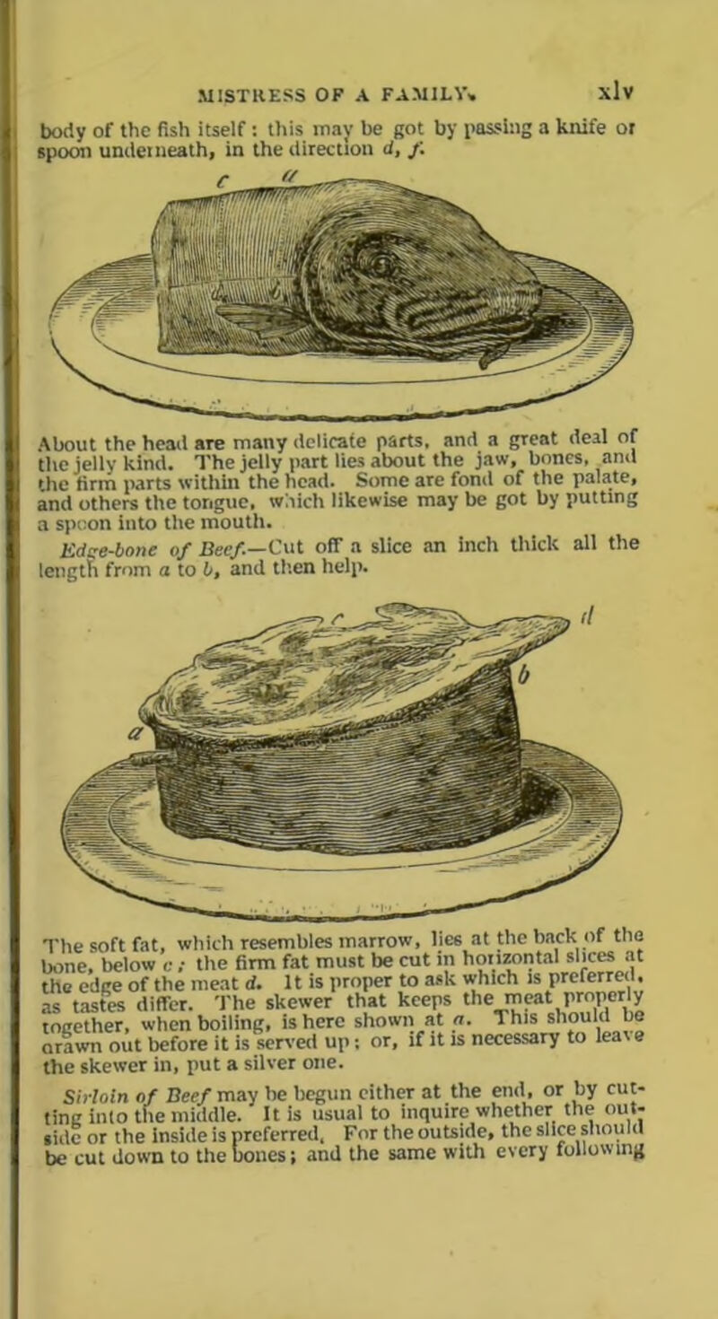 body of the fish itself: this may be got by passing a knife ot spoon underneath, in the direction d, f. About the head are many delicate parts, and a great deal of the jelly kind. The jelly part lies about the jaw, bones, and the firm parts within the head. Some are fond of the palate, and others the tongue, which likewise may be got by putting a spoon into the mouth. Edge-bone of Reef—Cut off a slice an inch thick all the length from a to b, and then help. The soft fat, which resembles marrow, lies at the back of the bone, below c ; the firm fat must be cut in horizontal slices at the edge of the meat d. It is proper to ask which is preferred. as tastes differ. The skewer that keeps the meat properly together, when boiling, is here shown at a. This should be orawn out before it is served up; or, if it is necessary to leate the skewer in, put a silver one. Sirloin of Reef may he begun cither at the end, or by cut- ting into the middle. It is usual to inquire whether the out- side or the inside is preferred, For the outside, the slice should be cut down to the bones; and the same with every following