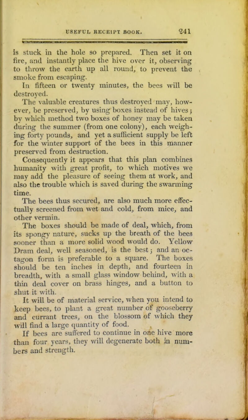 is stuck in the hole so prepared. Then set it on fire, and instantly place the hive over it, observing to throw the earth up all round, to prevent the smoke from escaping. In fifteen or twenty minutes, the bees will be destroyed. The valuable creatures thus destroyed may, how- ever, be preserved, by using boxes instead of hives; by which method two boxes of honey may be taken during the summer (from one colony), each weigh- ing forty pounds, and yet a sufficient supply be left for the winter support of the bees in this manner preserved from destruction. Consequently it appears that this plan combines humanity with great profit, to which motives we may add the pleasure of seeing them at work, and also the trouble which is saved during the swarming time. The bees thus secured, are also much more effec- tually screened from wet and cold, from mice, and other vermin. The boxes should be made of deal, which, from its spongy nature, sucks up the breath of the bees sooner than a more solid wood would do. Yellow Dram deal, well seasoned, is the best j and an oc- tagon form is preferable to a square. The boxes should be ten inches in depth, and fourteen in breadth, with a small glass Avindow behind, Avith a thin deal cover on brass hinges, and a button to shut it Avith. It Avill be of material service, Avhen you intend to keep bees, to plant a great number of gooseberry and currant trees, on the blossom of Avhich they will find a large quantity of food. If bees are suifered to continue in one hh^e more than four years, they will degenerate both in num- bers and strength.