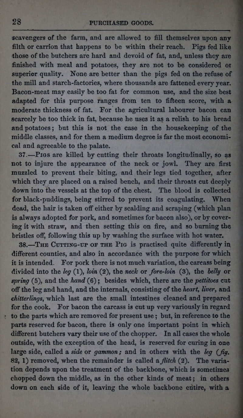 scavengers of the farm, and are allowed to fill themselves upon any filth or carrion that happens to be within their reach. Pigs fed like those of the butchers are hard and devoid of fat, and, unless they are finished with meal and potatoes, they are not to be considered or superior quality. None are better than the pigs fed on the refuse of the mill and starch-factories, where thousands are fattened every year. Bacon-meat may easily be too fat for common use, and the size best adapted for this purpose ranges from ten to fifteen score, with a moderate thickness of fat. For the agricultural labourer bacon can scarcely be too thick in fat, because he uses it as a relish to his bread and potatoes; but this is not the case in the housekeeping of the middle classes, and for them a medium degree is far the most economi- cal and agreeable to the palate. 37. —Pigs are killed by cutting their throats longitudinally, so as not to injure the appearance of the neck or jowl. They are first muzzled to prevent their biting, and their legs tied together, after which they are placed on a raised bench, and their throats cut deeply down into the vessels at the top of the chest. The blood is collected for black-puddings, being stirred to prevent its coagulating. When dead, the hair is taken off either by scalding and scraping (which plan is always adopted for pork, and sometimes for bacon also), or by cover- ing it with straw, and then setting this on fire, and so burning the bristles off, following this up by washing the surface with hot water. 38. —The Cutting-up of the Pig is practised quite differently in different counties, and also in accordance with the purpose for which it is intended. For pork there is not much variation, the careass being divided into the leg (1), loin (2), the neck or fore-loin (3), the belly or spring (5), and the hand (6); besides which, there are the pettitoes cut off the leg and hand, and the internals, consisting of the heart, liver, and chitterlings, which last are the small intestines cleaned and prepared for the cook. For bacon the carcass is cut up very variously in regard to the parts which are removed for present use; but, in reference to the parts reserved for bacon, there is only one important point in which different butchers vary their use of the chopper. In all cases the whole outside, with the exception of the head, is reserved for curing in one large side, called a side or gammon; and in others with the leg (fig. 82, 1) removed, when the remainder is called a flitch (2). The varia- tion depends upon the treatment of the backbone, which is sometimes chopped down the middle, as in the other kinds of meat; in others down on each side of it, leaving the whole backbone entire, with a