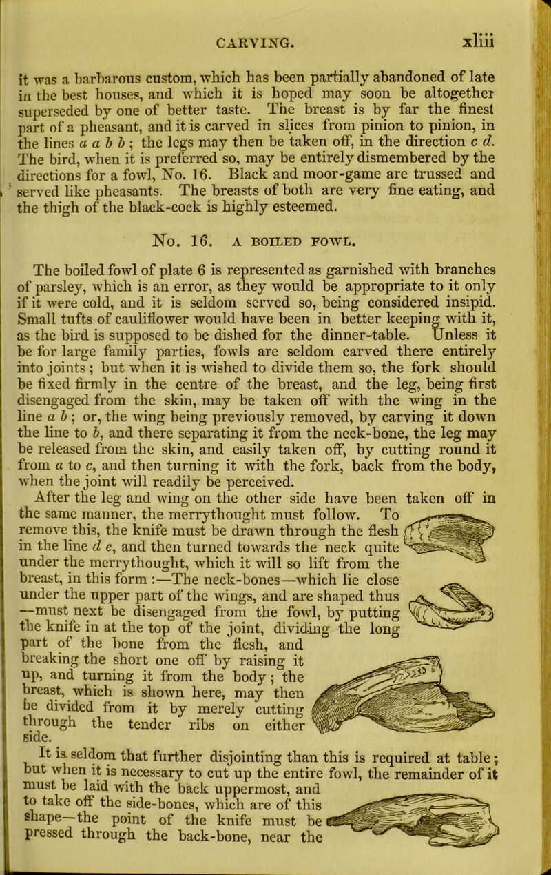 it was a barbarous custom, which has been partially abandoned of late in the best houses, and which it is hoped may soon be altogether superseded by one of better taste. The breast is by far the finest part of a pheasant, and it is carved in slices from pinion to pinion, in the lines a a b b ; the legs may then be taken off, in the direction c d. The bird, when it is preferred so, may be entirely dismembered by the directions for a fowl, No. 16. Black and moor-game are trussed and served like pheasants. The breasts of both are very fine eating, and the thigh of the black-cock is highly esteemed. No. 16. A BOILED FOWL. The boiled fowl of plate 6 is represented as garnished with branches of parsley, which is an error, as they would be appropriate to it only if it were cold, and it is seldom served so, being considered insipid. Small tufts of cauliflower would have been in better keeping with it, as the bird is supposed to be dished for the dinner-table. Unless it be for large family parties, fowls are seldom carved there entirely into joints ; but wrhen it is wrished to divide them so, the fork should be fixed firmly in the centre of the breast, and the leg, being first disengaged from the skin, may be taken off with the wing in the line a b \ or, the wing being previously removed, by carving it down the line to b, and there separating it from the neck-bone, the leg may be released from the skin, and easily taken off, by cutting round it from a to c, and then turning it with the fork, back from the body, when the joint will readily be perceived. After the leg and wing on the other side have been taken off in the same manner, the merrythought must follow. To remove this, the knife must be drawn through the flesh in the line d e, and then turned towards the neck quite under the merrythought, which it will so lift from the breast, in this form :—The neck-bones—which lie close under the upper part of the wings, and are shaped thus —must next be disengaged from the fowl, by putting the knife in at the top of the joint, dividing the long part of the bone from the flesh, and breaking the short one off by raising it up, and turning it from the body; the breast, which is shown here, may then be divided from it by merely cutting through the tender ribs on either side. It is. seldom that further disjointing than this is required at table; but when it is necessary to cut up the entire fowl, the remainder of it must be laid with the back uppermost, and to take off the side-bones, which are of this shape the point of the knife must be pressed through the back-bone, near the