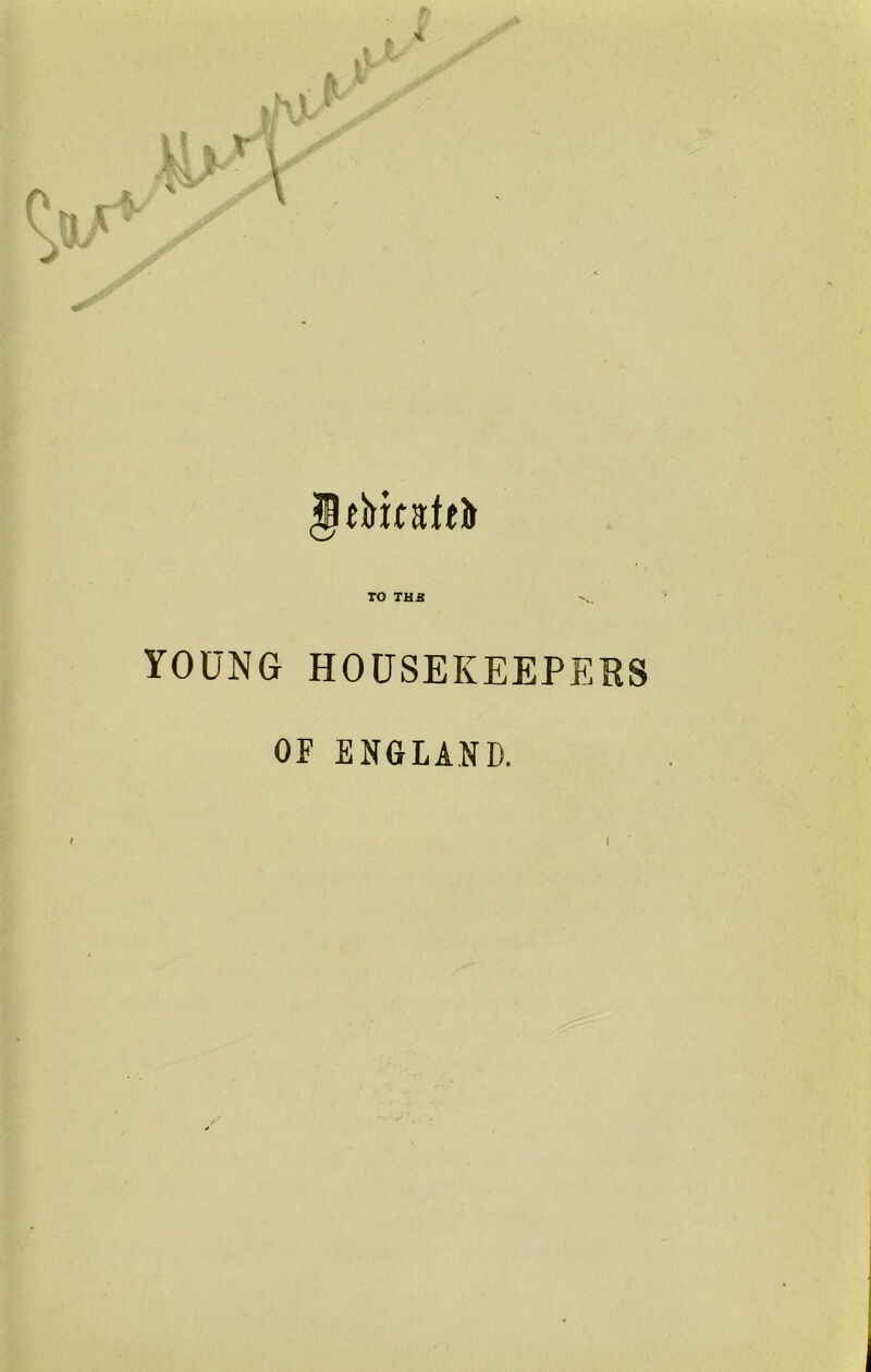 jjebifatrt TO THE YOUNG HOUSEKEEPERS OF ENGLAND.