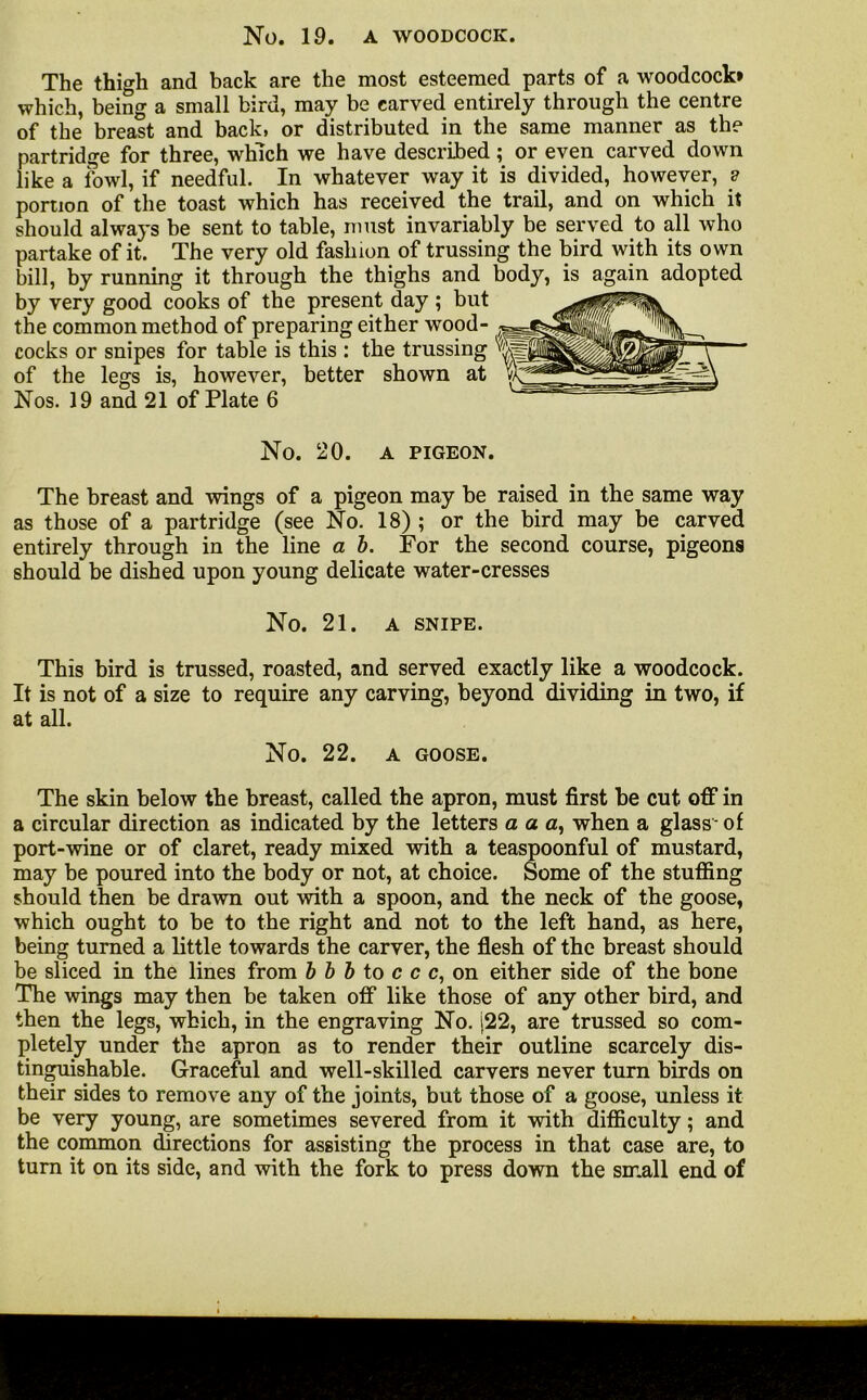 No. 19. A WOODCOCK. The thigh and back are the most esteemed parts of a woodcock* which, being a small bird, may be carved entirely through the centre of the breast and back, or distributed in the same manner as the partridge for three, which we have described; or even carved down like a fowl, if needful. In whatever way it is divided, however, ? portion of the toast which has received the trail, and on which it should always be sent to table, must invariably be served to all who partake of it. The very old fashion of trussing the bird with its own bill, by running it through the thighs and body, is again adopted by very good cooks of the present day ; but Hw. the common method of preparing either wood- cocks or snipes for table is this : the trussing T“~ of the legs is, however, better shown at Nos. 19 and 21 of Plate 6 No. 20. A PIGEON. The breast and wings of a pigeon may be raised in the same way as those of a partridge (see No. 18) ; or the bird may be carved entirely through in the line a b. For the second course, pigeons should be dished upon young delicate water-cresses No. 21. A SNIPE. This bird is trussed, roasted, and served exactly like a woodcock. It is not of a size to require any carving, beyond dividing in two, if at all. No. 22. A GOOSE. The skin below the breast, called the apron, must first be cut off in a circular direction as indicated by the letters a a a, when a glass - of port-wine or of claret, ready mixed with a teaspoonful of mustard, may be poured into the body or not, at choice. Some of the stuffing should then be drawn out with a spoon, and the neck of the goose, which ought to be to the right and not to the left hand, as here, being turned a little towards the carver, the flesh of the breast should be sliced in the lines from b b b to c c c, on either side of the bone The wings may then be taken off like those of any other bird, and then the legs, which, in the engraving No. [22, are trussed so com- pletely under the apron as to render their outline scarcely dis- tinguishable. Graceful and well-skilled carvers never turn birds on their sides to remove any of the joints, but those of a goose, unless it be very young, are sometimes severed from it with difficulty; and the common directions for assisting the process in that case are, to turn it on its side, and with the fork to press down the small end of