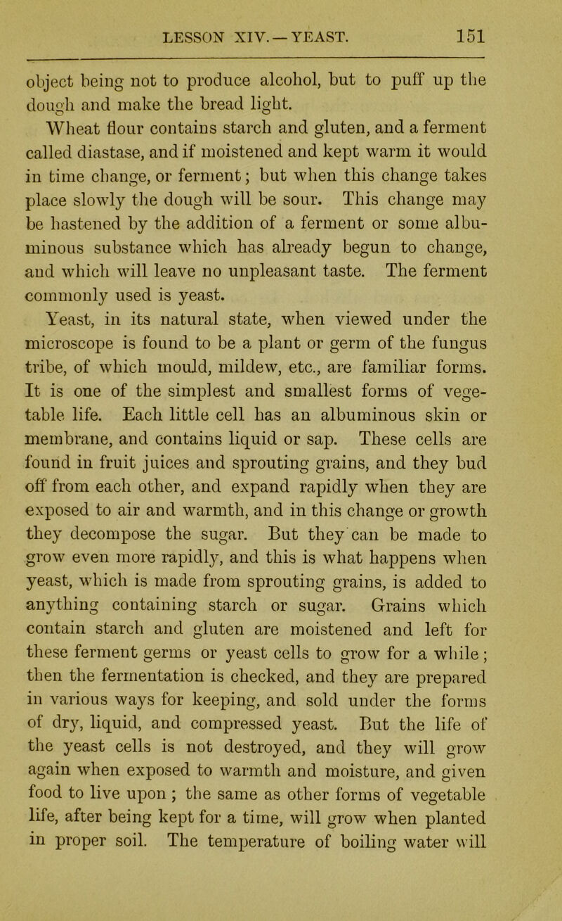 object being not to produce alcohol, but to puff up the dough and make the bread light. Wheat flour contains starch and gluten, and a ferment called diastase, and if moistened and kept warm it would in time change, or ferment; but when this change takes place slowly tlie dough will be sour. This change may be hastened by the addition of a ferment or some albu- minous substance which has already begun to change, and which will leave no unpleasant taste. The ferment commonly used is yeast. Yeast, in its natural state, when viewed under the microscope is found to be a plant or germ of the fungus tribe, of which mould, mildew, etc., are familiar forms. It is one of the simplest and smallest forms of vege- table life. Each little cell has an albuminous skin or membrane, and contains liquid or sap. These cells are found in fruit juices and sprouting grains, and they bud off from each other, and expand rapidly when they are exposed to air and warmth, and in this change or growth they decompose the sugar. But they can be made to grow even more rapidly, and this is what happens when yeast, which is made from sprouting grains, is added to anything containing starch or sugar. Grains which contain starch and gluten are moistened and left for these ferment germs or yeast cells to grow for a while; then the fermentation is checked, and they are prepared in various ways for keeping, and sold under the forms of dry, liquid, and compressed yeast. But the life of the yeast cells is not destroyed, and they will grow again when exposed to warmth and moisture, and given food to live upon ; the same as other forms of vegetable life, after being kept for a time, will grow when planted in proper soil. The temperature of boiling water will