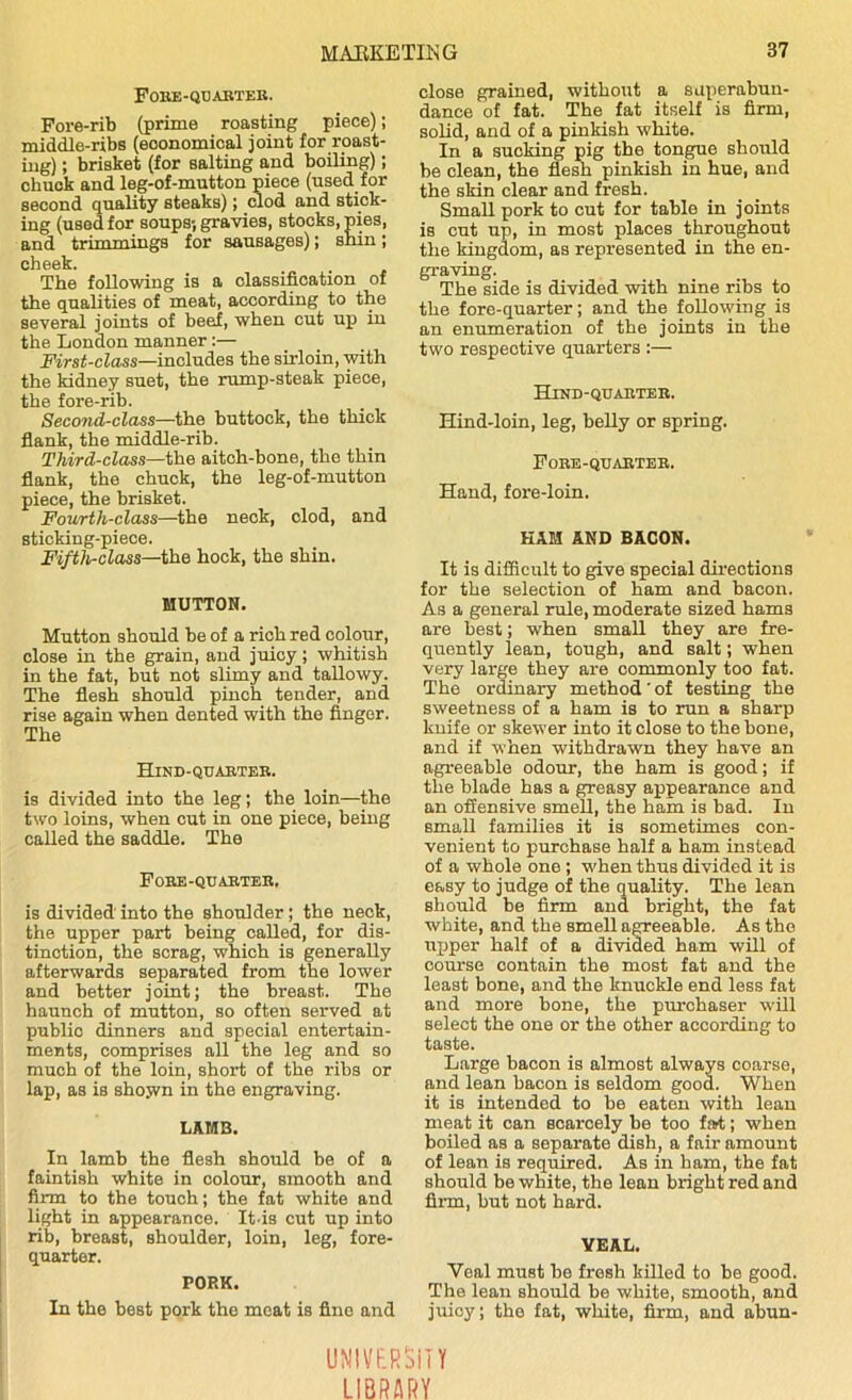 FoBE-QUABTEB. Fore-rib (prime roasting piece); middle-ribs (economical joint for roast- ing) ; brisket (for salting and boiling); chuck and leg-of-mutton piece (used for second quality steaks); clod and stick- ing (used for soups; gravies, stocks, pies, and trimmings for sausages); shin; cheek. _ , The following is a classification of the qualities of meat, according to the several joints of beef, when cut up in the London manner :— First-class—includes the sirloin, with the kidney suet, the rump-steak piece, the fore-rib. Second-class—the buttock, the thick flank, the middle-rib. Third-class—the aitch-bone, the thin flank, the chuck, the leg-of-mutton piece, the brisket. Fourth-class—the neck, clod, and sticking-piece. Fifth-class—the hock, the shin. MUTTON. Mutton should be of a rich red colour, close in the grain, and juicy; whitish in the fat, but not slimy and tallowy. The flesh should pinch tender, and rise again when dented with the finger. The Hind-quakteb. is divided into the leg; the loin—the two loins, when cut in one piece, being called the saddle. The Fobe-quabtee, is divided into the shoulder; the neck, the upper part being called, for dis- tinction, the scrag, which is generally afterwards separated from the lower and better joint; the breast. The haunch of mutton, so often served at publio dinners and special entertain- ments, comprises all the leg and so much of the loin, short of the ribs or lap, as is shojvn in the engraving. LAMB. In lamb the flesh should be of a faintish white in colour, smooth and firm to the touch; the fat white and light in appearance. It-is cut up into rib, breast, shoulder, loin, leg, fore- quarter. PORK. In the best pork the meat is fine and close grained, without a superabun- dance of fat. The fat itself is firm, solid, and of a pinkish white. In a sucking pig the tongue should be clean, the flesh pinkish in hue, and the skin clear and fresh. Small pork to cut for table in joints is cut up, in most places throughout the kingdom, as represented in the en- graving. The side is divided with nine ribs to the fore-quarter; and the following is an enumeration of the joints in the two respective quarters :— Hind-quaiiter. Hind-loin, leg, belly or spring. Fobe-qtjaeteb. Hand, fore-loin. KAM AND BACON. It is difficult to give special directions for the selection of ham and bacon. As a general rule, moderate sized hams are best; when small they are fre- quently lean, tough, and salt; when very large they are commonly too fat. The ordinary method ’ of testing the sweetness of a ham is to run a sharp knife or skewer into it close to the bone, and if when withdrawn they have an agreeable odour, the ham is good; if the blade has a greasy appearance and an offensive smell, the ham is bad. In small families it is sometimes con- venient to purchase half a ham instead of a whole one ; when thus divided it is easy to judge of the quality. The lean should be firm and bright, the fat white, and the smell agreeable. As the upper half of a divided ham will of course contain the most fat and the least bone, and the knuckle end less fat and more bone, the purchaser will select the one or the other according to taste. Large bacon is almost always coarse, and lean bacon is seldom good. When it is intended to be eaten with lean meat it can scarcely be too fat; when boiled as a separate dish, a fair amount of lean is required. As in ham, the fat should be white, the lean bright red and firm, but not hard. VEAL. Veal must be fresh killed to be good. The lean should be white, smooth, and juicy; the fat, white, firm, and abun- UNIVF.RSiTY LIBRARY