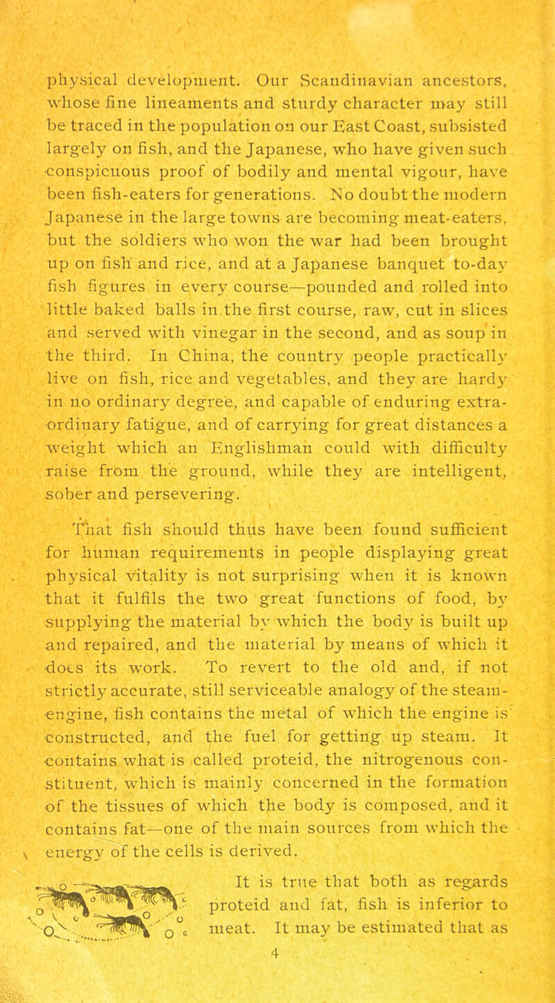 physical development. Our Scandinavian ancestors, whose fine lineaments and sturdy character may still be traced in the population on our East Coast, subsisted largely on fish, and the Japanese, who have given such •conspicuous proof of bodily and mental vigour, have been fish-eaters for generations. IS'o doubt the modern Japanese in the large towns are becoming meat-eaters, but the soldiers who won the war had been brought up on fish and rice, and at a Japanese banquet to-day fish figures in every course—pounded and rolled into little baked balls in the first course, raw, cut in slices and served with vinegar in the second, and as soup in the third. In China, the country people practically live on fish, rice and vegetables, and they are hardy in no ordinary degree, and capable of enduring extra- ordinary fatigue, and of carrying for great distances a weight which an Englishman could with difficulty raise from the ground, while they are intelligent, sober and persevering. That fish should thus have been found sufficient for human requirements in people displaying great physical vitality is not surprising when it is known that it fulfils the two great functions of food, by supplying the material by which the body is built up and repaired, and the material by means of which it docs its work. To revert to the old and, if not strictly accurate, still serviceable analogy of the steam- engine, fish contains the metal of which the engine is •constructed, and the fuel for getting up steam. It contains what is called proteid, the nitrogenous con- stituent, which is mainly concerned in the formation of the tissues of which the body is composed, and it contains fat—one of the main sources from which the \ energy of the cells is derived. It is true that both as regards proteid and fat, fish is inferior to meat. It may be estimated that as