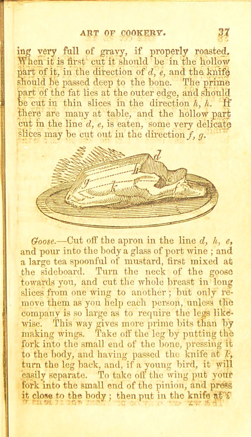 ing very full of gi’ayy, if properly roasted. When it is first cut it should be in the hollow part of it, in the direction of cl, e, and the knifb should he passed deep to the hone. The prime part of the fat lies at the outer edge, and should he cut in thin slices in the direction h, h. ff there are many at table, and the hollow part cut in the line d, e, is eaten, some very delicate slices may be cut out in the direction /, g. G^oose.—Cut off the apron in the line d, h, e, and pour into the body a gla.ss of port wine ; and a large tea spoonful of mustard, first mixed at the sideboard. Turn the neck of the goose towards yon, and cut the whole breast in long slices from one wing to another ; but only re- move them as you help each pei'son, unless the company is so large as to ref|uire the legs like- wise. This way gives more ])riine bits than by making wings. Take oil' the leg by putting thb fork into the small end of the bone, pressing it to the body, and having passed the knife at V, turn the leg back, and, if a young bird, it will easily separate. To take olF the wing put yout fork into the small end of the pinion, and press