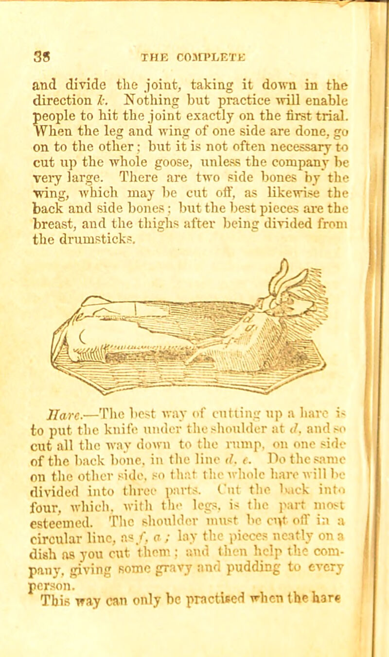 and divide the joint, taking it down in the direction 1-. Nothing but practice -(vill enable people to hit the joint exactly on the first trial. When the leg and wing of one side are done, go on to the other; but if is not often necessary to cut up the whole goose, unless the company be vei’y large. There are two side bones by the wing, which may be cut oft', as likewi.se the back and side bones; but the best pieces are the breast, and the thighs after being divided from the drumstick.s. i llarc.—The best way of cutting up a hare i' to put the knife under the slioulder at J. and.-o cut all the way down to the rump, on one side of the back bone, in the line d. (. Do the .same on the other side, .“o th.'.t the whole hare will be 1 divided into three part.s. Cut the Kick into four, which, with the legs, is the part most i esteemed. The shoulder imist be cut otf in a I circular line, as/, a ; lay the pieces neatly on a j dish as you cut them ; and then help the com- I pauy, giving some gravy and pudding to every g person. I This way can only be practised when the hare