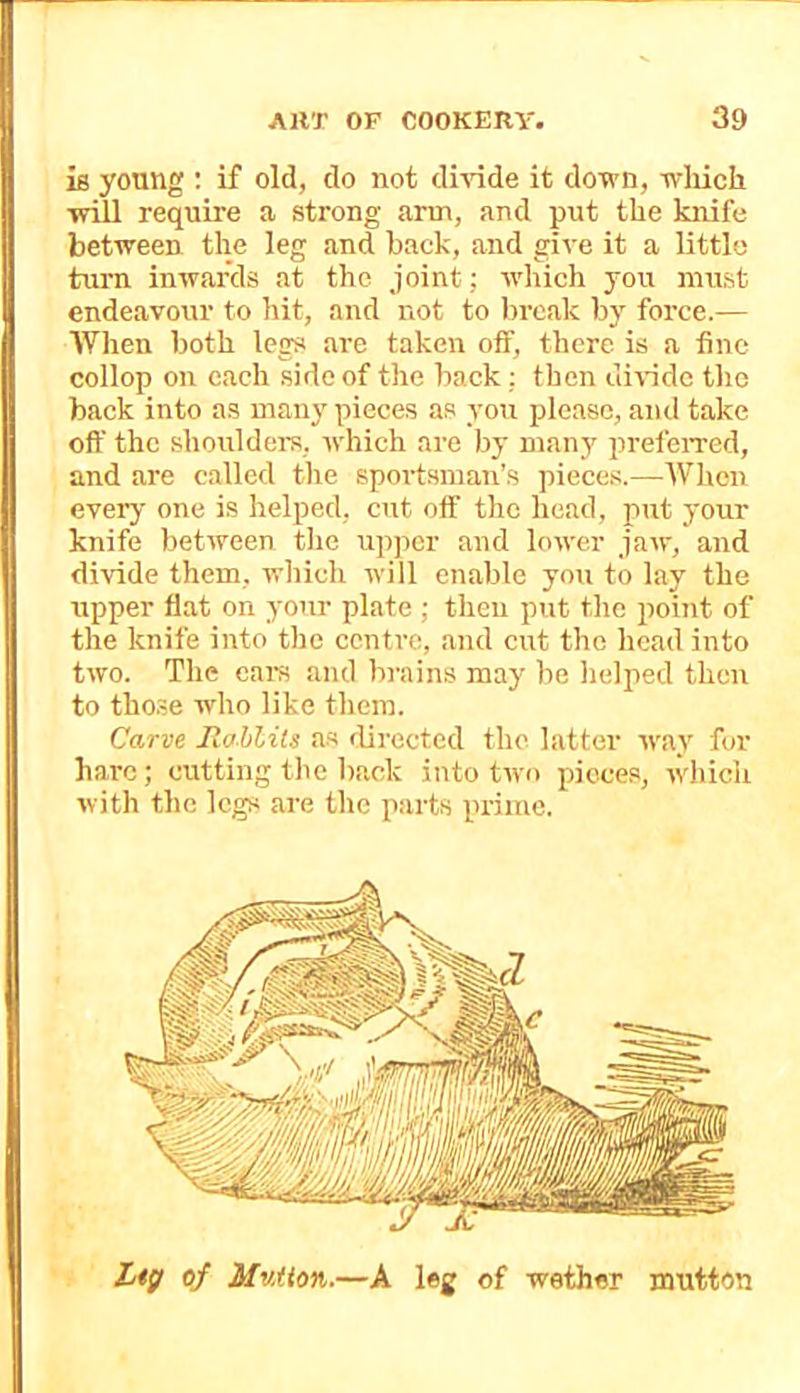is young : if old, do not dmde it down, wliicli will require a strong arm, and put the knife between the leg and back, and give it a little turn inwards at the joint ; w’hich you must endeavour to hit, and not to l)rcak by force.— Wlien both legs are taken off, there is a fine collop on each side of the back; then ui^-idc tho back into as many piece.s as you please, and take off the shoulders, which are by many prefeiTed, and are called the spoi’t.sman’.s piece.s.—When every one is helped, cut off tho head, put your knife between the upper and lower jaw, and divide them, which will enable you to lay the upper flat on your plate ; then put the point of the knife into the centre, and cut the head into two. The ears and brains may be helped then to tho.se who like them. Carve Jlahlits as directed the latter way for hare ; cutting the back into two pieces, which with the legs are the parts prime. Ltif of Mutton.—A leg of wether mutton