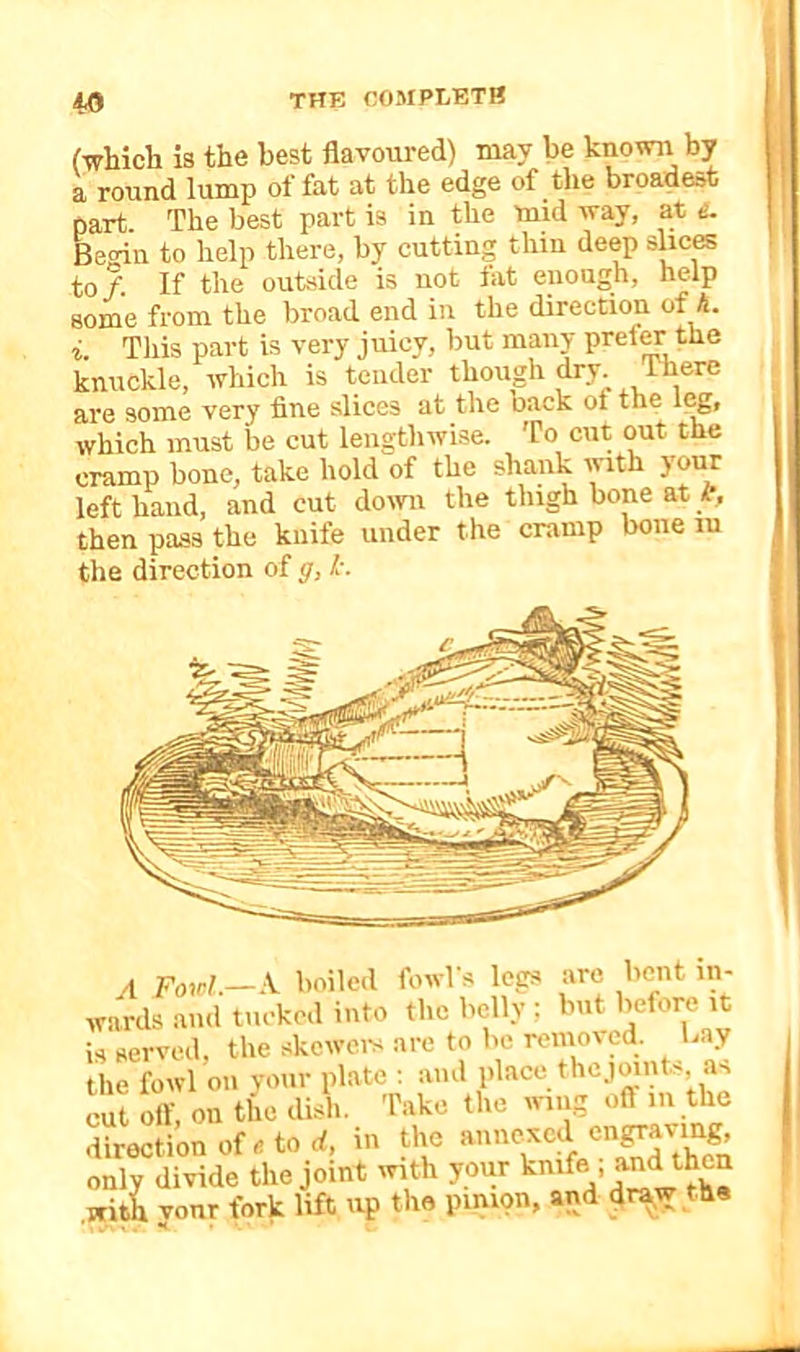 1,0 THE COMPLETE (which is the best flavoured) may be known by a round lump of fat at the edge of the broadest part The best part is in the mid way, at Begin to help there, by cutting thin deep slices to /. If the outjiide is not fat enough, help some from the broad end in the direction of A. i. This part is very juicy, but many prefc the knuckle, which is tender though dry. are some very fine slices at the back of the 1(^, which must be cut lengthwise. To cut out the cramp bone, take hold of the shank with your left hand, and cut down the thigh bone at i’, then pass the knife under the cramp bone lu the direction of ff, !c. A poirl.—A boiled fowl's logs are hi- wards and tucked into the belly : but before it is served, the skcwc.-s arc to be removed, bay the fowl on vour plate ; and place thc.iomt>, as cut oir, on the dish. Take the wing o(f in the direction of aorf, in the only divide the joint inth your “ with vonr fork lift up the pinion, and ^r^w the