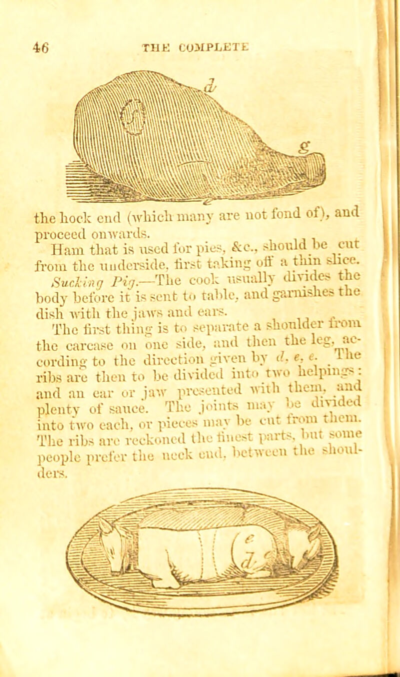 proceed omvards. Ham that is used for pies, &e., should be cut from the uiidemide. first fiakin oil si thin dice. Sucling fVjr.—The cook iisuallv divides the body before it is sent to table, and ganushes the dish ivith the jaws and ears. The first thing is to separate a shoulder Irom the carcase on one side, and then the leg, ac- cording to the direction given by d. e, e. the ribs are then to be divided into two helpings and an ear or jaw presented wall tliein. and plenty of sauce. The .joints may l.e divided into two each, or ]fieccs may be cut troni tliem. The ribs are reckoned the finest parts, bnt some people prefer the neck end. between the shoul- ders. 1