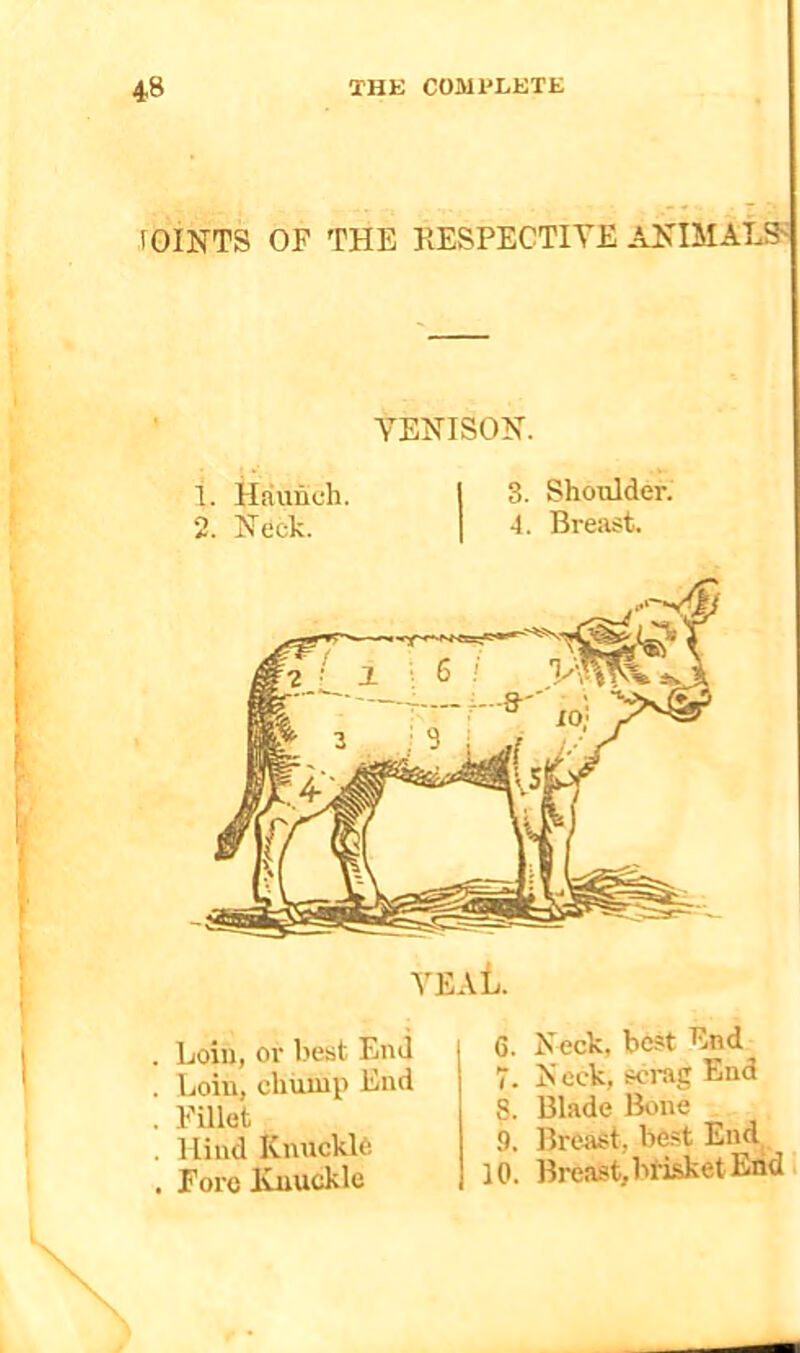 rOINTS OF THE RE.SPECTIYE AKIMALS^ YEHISON. t. Haunch. 1 3. Shoulder. 2. Heck. 1 4. Breast. yeaL . Loin, or best End . Eoiu, chump End . Fillet . Hind Knuckle . Fore luiuckle 6. Neck, best End 7. Neck, scrag End 8. Blade Bone 9. Brenst, best End 10. Breast, brisket End