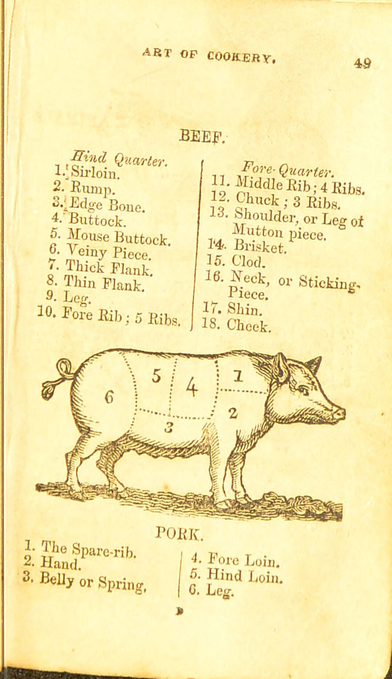 4-9 beef. mnd Quarter. 2. Eiimp. S-iEdge Bone. 4. Buttock. 5. Mouse Buttock. 6. Jeiny Piece. > ■ Thick Plank, 8- Thin Plank. S. Leg-. 30. Pore Eih; 5 n Quarter. 13.MiddleEib;4Eibs, if' ’■ 3 13.ShoiEder,orLegof Mutton piece. 1‘4. Brisket. 35. Clod. IT. Shin. 18. Cheek. 1- The Sparc-rib. iland. 3. Belly or Spring, POEK. I 4. Pore Loin, 5. Hind Loin, I 0. Leg. *