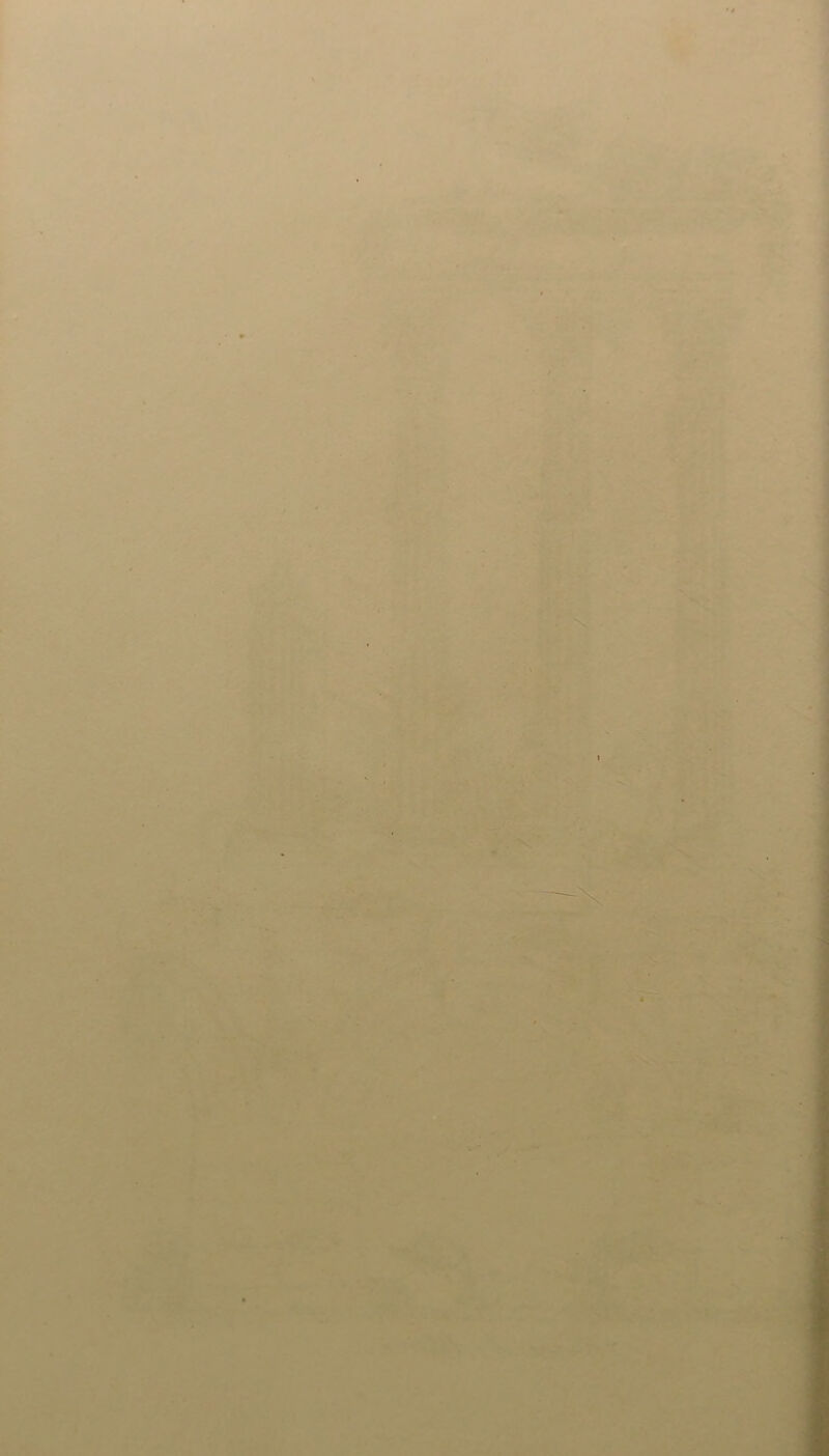 'I