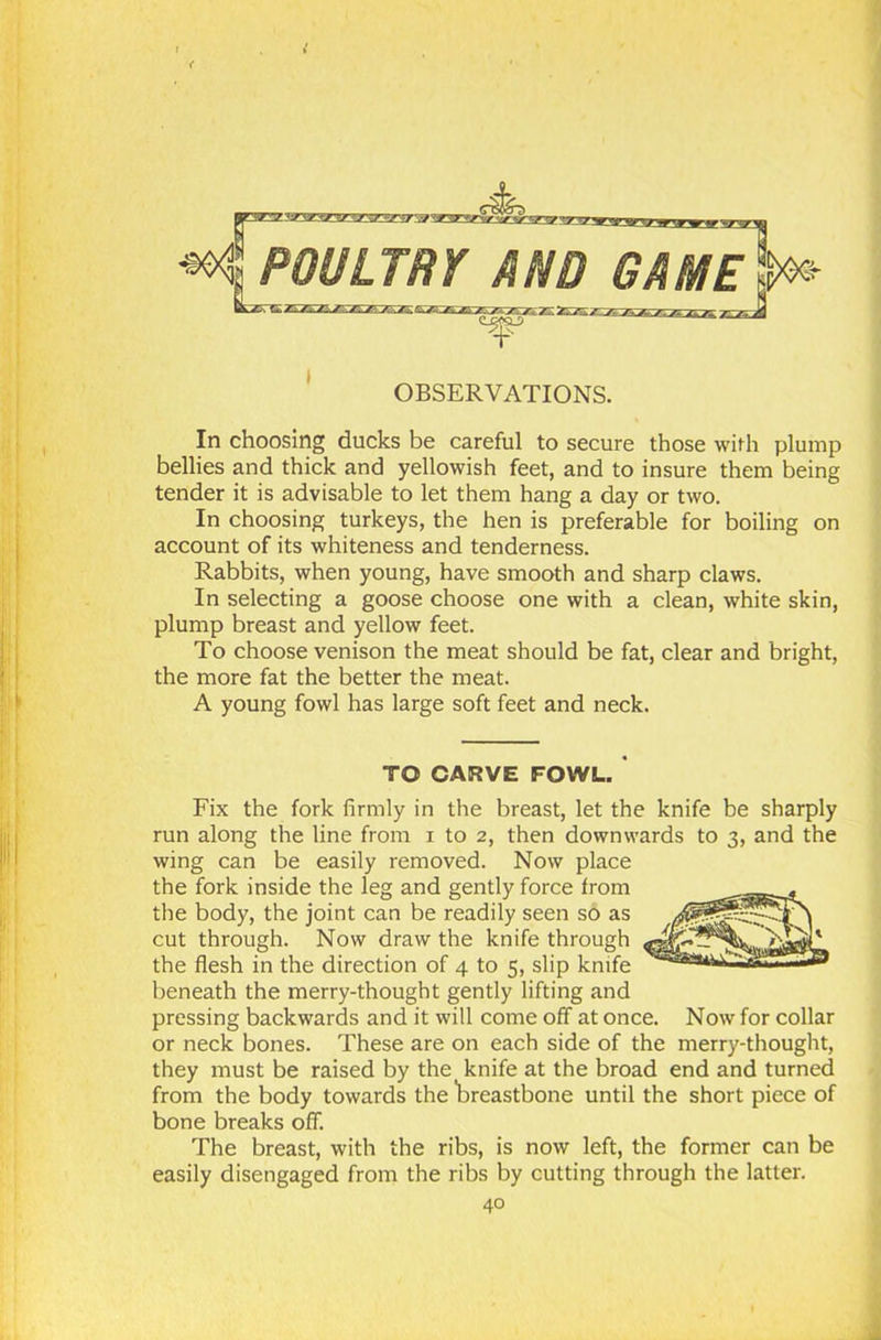 < ^POULTRY AND GAMEj^ OBSERVATIONS. In choosing ducks be careful to secure those with plump bellies and thick and yellowish feet, and to insure them being tender it is advisable to let them hang a day or two. In choosing turkeys, the hen is preferable for boiling on account of its whiteness and tenderness. Rabbits, when young, have smooth and sharp claws. In selecting a goose choose one with a clean, white skin, plump breast and yellow feet. To choose venison the meat should be fat, clear and bright, the more fat the better the meat. A young fowl has large soft feet and neck. TO CARVE FOWL. Fix the fork firmly in the breast, let the knife be sharply run along the line from i to 2, then downwards to 3, and the wing can be easily removed. Now place the fork inside the leg and gently force from the body, the joint can be readily seen so as cut through. Now draw the knife through the flesh in the direction of 4 to 5, slip knife beneath the merry-thought gently lifting and pressing backwards and it will come off at once. Now for collar or neck bones. These are on each side of the merry-thought, they must be raised by the knife at the broad end and turned from the body towards the breastbone until the short piece of bone breaks off. The breast, with the ribs, is now left, the former can be easily disengaged from the ribs by cutting through the latter.