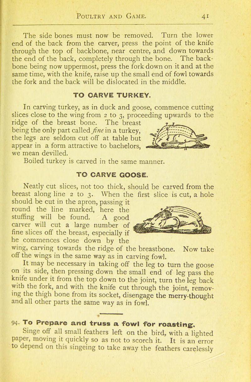 The side bones must now be removed. Turn the lower end of the back from the carver, press the point of the knife through the top of backbone, near centre, and down towards the end of the back, completely through the bone. The back- bone being now uppermost, press the fork down on it and at the same time, with the knife, raise up the small end of fowl towards the fork and the back will be dislocated in the middle. TO CARVE TURKEY. In carving turkey, as in duck and goose, commence cutting slices close to the wing from 2 to 3, proceeding upwards to the ridge of the breast bone. The breast being the only part called fine in a turkey, the legs are seldom cut off at table but appear in a form attractive to bachelors, we mean devilled. Boiled turkey is carved in the same manner. TO CARVE GOOSE. Neatly cut slices, not too thick, should be carved from the breast along line 2 to 3. When the first slice is cut, a hole should be cut in the apron, passing it round the line marked, here the stuffing will be found. A good carver will cut a large number of fine slices off the breast, especially if he commences close down by the wing, carving towards the ridge of the breastbone. Now take off the wings in the same way as in carving fowl. It may be necessary in taking off the leg to turn the goose on its side, then pressing down the small end of leg pass the knife under it from the top down to the joint, turn the leg back with the fork, and with the knife cut through the joint, remov- ing the thigh bone from its socket, disengage the merry-thought and all other parts the same way as in fowl. 94- To Prepare and truss a fowl for roasting. Singe off all small feathers left on the bird, with a lighted paper, moving it quickly so as not to scorch it. It is an error to depend on this singeing to take away the feathers carelessly