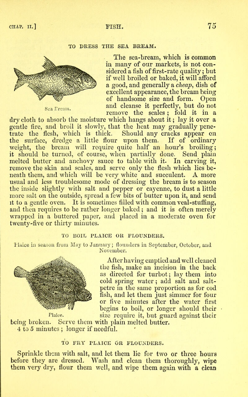 TO DRESS THE SEA BREAM. The sea-bream, which is common in many of our markets, is not con- sidered a fish of first-rate quality; but if well broiled or baked, it will afford a good, and generally a cheap, dish of excellent appearance, the bream being of handsome size and form. Open and cleanse it perfectly, but do not remove the scales; fold it in a dry cloth to absorb the moisture which hangs about it; lay it over a gentle fire, and broil it slowly, that the heat may gradually pene- trate the flesh, which is thick. Should any cracks appear on the surface, dredge a little flour upon them. If of ordinary weight, the bream will require quite half an hour’s broiling; it should be turned, of course, when partially done. Send plain melted butter and anchovy sauce to table with it. In carving it, remove the skin and scales, and serve only the flesh which lies be- neath them, and which will be very white and succulent. A more usual and less troublesome mode of dressing the bream is to season the inside slightly with salt and pepper or cayenne, to dust a little more salt on the outside, spread a few bits of butter upon it, and send it to a gentle oven. It is sometimes filled with common veal-stuffing, and then requires to be rather longer baked; and it is often merely wrapped in a buttered paper, and placed in a moderate oven for twenty-five or thirty minutes. TO BOIL PLAICE OR FLOUNDERS. Plaice in season from May to January; flounders in September, October, and November. After having emptied and well cleaned the fish, make an incision in the back as directed for turbot; lay them into cold spring water; add salt and salt- petre in the same proportion as for cod fish, and let them just simmer for four or five minutes after the water first begins to boil, or longer should their size require it, but guard against their being broken. Serve them with plain melted butter. 4 to 5 minutes; longer if needful. TO FRY PLAICE OR FLOUNDERS. Sprinkle them with salt, and let them lie for two or three hours before they are dressed. Wash and clean them thoroughly, wipe them very dry, flour them well, and wipe them again with a clean Plaice. Sea Cream.
