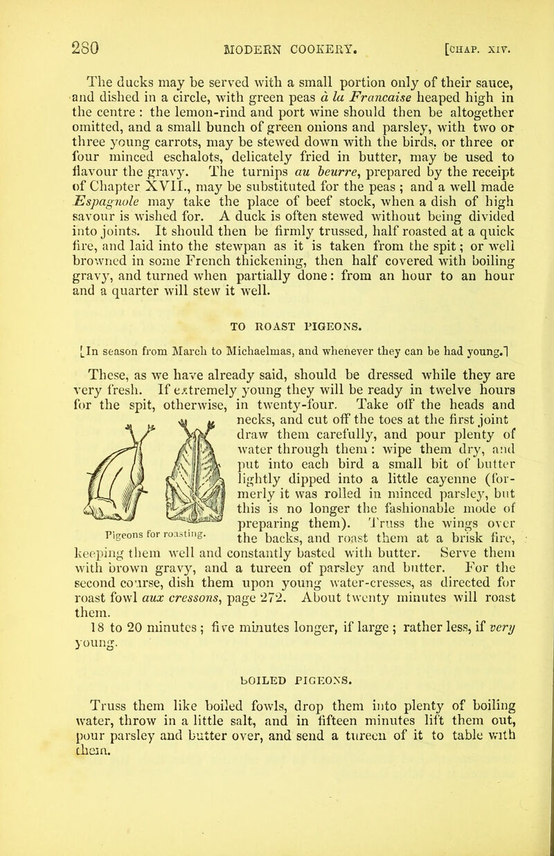 The ducks may be served with a small portion only of their sauce, and dished in a circle, with green peas a la Francaise heaped high in the centre : the lemon-rind and port wine should then be altogether omitted, and a small bunch of green onions and parsley, with two or three young carrots, may be stewed down with the birds, or three or four minced eschalots, delicately fried in butter, may be used to flavour the gravy. The turnips au beurre, prepared by the receipt of Chapter XVII., ma}^ be substituted for the peas ; and a well made Espagnole may take the place of beef stock, when a dish of high savour is wished for. A duck is often stewed without being divided into joints. It should then be firmly trussed, half roasted at a quick fire, and laid into the stewpan as it is taken from the spit; or well browned in some French thickening, then half covered with boiling gravy, and turned when partially done: from an hour to an hour and a quarter will stew it well. TO ROAST PIGEONS. [In season from March to Michaelmas, and whenever they can be had young.l These, as we have already said, should be dressed while they are very fresh. If extremely young they will be ready in twelve hours for the spit, otherwise, in twenty-four. Take off the heads and necks, and cut off the toes at the first joint draw them carefully, and pour plenty of water through them : wipe them dry, and put into each bird a small bit of butter lightly dipped into a little cayenne (for- merly it was rolled in minced parsley, but this is no longer the fashionable mode of preparing them). Truss the wings over Pigeons for roasting. the backs, and roast them at a brisk fire, keeping them well and constantly basted with butter. Serve them with brown gravy, and a tureen of parsley and butter. For the second course, dish them upon young water-cresses, as directed for roast fowl aux cressons, page 272. About twenty minutes will roast them. 18 to 20 minutes ; five minutes longer, if large ; rather less, if very young. bOILED PIGEONS. Truss them like boiled fowls, drop them into plenty of boiling water, throw in a little salt, and in fifteen minutes lift them out, pour parsley and butter over, and send a tureen of it to table with them.