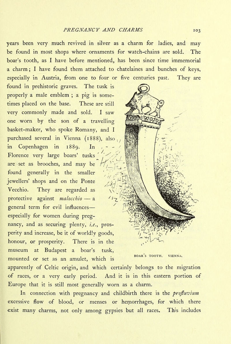 years been very much revived in silver as a charm for ladies, and may be found in most shops where ornaments for watch-chains are sold. The boar’s tooth, as I have before mentioned, has been since time immemorial a charm; I have found them attached to chatelaines and bunches of keys, especially in Austria, from one to four or five centuries past. They are found in prehistoric graves. The tusk is properly a male emblem ; a pig is some- times placed on the base. These are still very commonly made and sold. I saw one worn by the son of a travelling basket-maker, who spoke Romany, and I purchased several in Vienna (1888), also in Copenhagen in 1889. In , - - Florence very large boars’ tusks ' / are set as brooches, and may be found generally in the smaller jewellers’ shops and on the Ponte Vecchio. They are regarded as protective against malocchio — a general term for evil influences— especially for women during preg- nancy, and as securing plenty, i.e., pros- perity and increase, be it of worldly goods, honour, or prosperity. There is in the museum at Budapest a boar’s tusk, mounted or set as an amulet, which is apparently of Celtic origin, and which certainly belongs to the migration of races, or a very early period. And it is in this eastern portion of Europe that it is still most generally worn as a charm. In connection with pregnancy and childbirth there is the profluvium excessive flow of blood, or menses or hemorrhages, for which there exist many charms, not only among gypsies but all races. This includes BOAR S TOOTH. VIENNA.