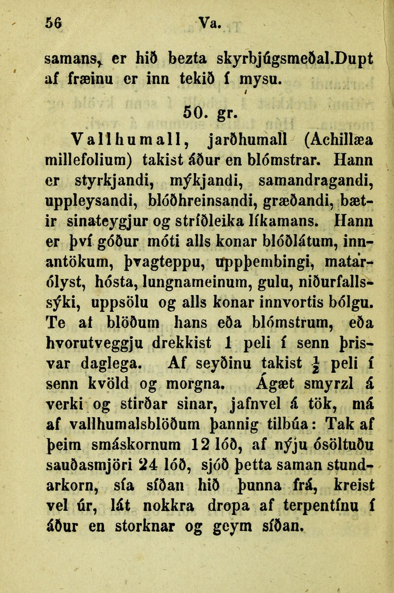 samans^ er hið bezta skyrbjúgsmeðal.Dupt af fræinu er inn tekið í mysu. / 50. gr. Vallhumall, j arðhumaíl (Achillæa millefolium) takist áður en blómstrar. Hann er styrkjandi, mýkjandi, samandragandi, uppleysandi, blóöhreinsandi, græðandi, bæt- ir sinateygjur og stríðleika líkamans. Hann er því góður móti alls konar blóðlátum, ínn- antökum, þvagteppu, típpþembingi, matar- ólyst, hósta, lungnameinum, gulu, niðurfalls- sýki, uppsölu og alls konar innvortis bÓIgu. Te at blöðum hans eða blómstrum, eða hvorutveggju drekkist 1 peli £ senn þris- var daglega. Af seyðinu takist J peli í senn kvöld og morgna. Ágæt smyrzl á verki og stirðar sinar, jafnvel á tök, má af vallhumalsblöðum þannig tilbúa: Tak af þeim smáskornum 121óð, af nýju ósöltuðu sauðasmjöri 24 lóð, sjóð þetta saman stund- arkorn, s£a s£ðan hið þunna frá, kreist vel úr, lát nokkra dropa af terpent£nu £ áöur en storknar og geym s£ðan.