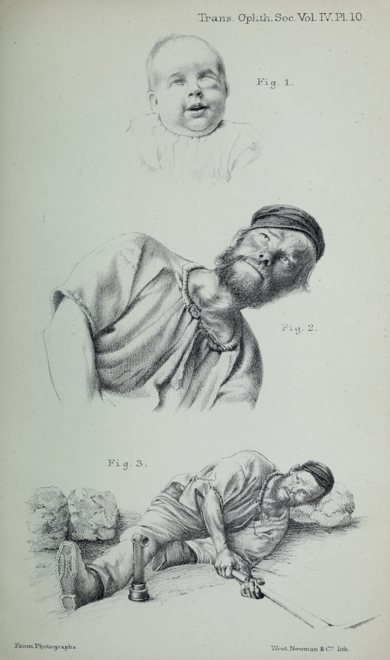 Trains. Oplntli. Soc.Vbl. T/.Pl. 10