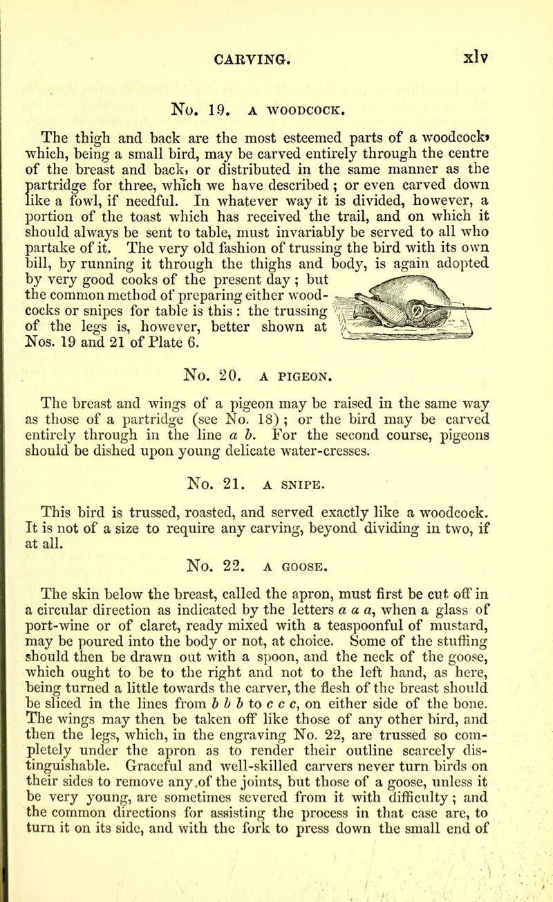 No. 19. A WOODCOCK. The thigh and hack are the most esteemed parts of a woodcock* which, being a small bird, may be carved entirely through the centre of the breast and back* or distributed in the same manner as the partridge for three, which we have described; or even carved down like a fowl, if needful. In whatever way it is divided, however, a portion of the toast which has received the trail, and on which it should always be sent to table, must invariably be served to all who partake of it. The very old fashion of trussing the bird with its own bill, by running it through the thighs and body, is again adopted by very good cooks of the present day ; but the common method of preparing either wood- cocks or snipes for table is this : the trussing of the legs is, however, better shown at Nos. 19 and 21 of Plate 6. No. 20. A PIGEON. The breast and wings of a pigeon may be raised in the same way as those of a partridge (see No. 18) ; or the bird may be carved entirely through in the line a b. For the second course, pigeons should be dished upon young delicate water-cresses. No. 21. A SNIPE. This bird is trussed, roasted, and served exactly like a woodcock. It is not of a size to require any carving, beyond dividing in two, if at all. No. 22. A GOOSE. The skin below the breast, called the apron, must first be cut off in a circular direction as indicated by the letters a a a, when a glass of port-wine or of claret, ready mixed with a teaspoonful of mustard, may be poured into the body or not, at choice. Some of the stuffing should then be drawn out with a spoon, and the neck of the goose, which ought to be to the right and not to the left hand, as here, being turned a little towards the carver, the flesh of the breast should be sliced in the lines from b b b to c c c, on either side of the bone. The wings may then be taken off like those of any other bird, and then the legs, which, in the engraving No. 22, are trussed so com- pletely under the apron as to render their outline scarcely dis- tinguishable. Graceful and well-skilled carvers never turn birds on their sides to remove any,of the joints, but those of a goose, unless it be very young, are sometimes severed from it with difficulty; and the common directions for assisting the process in that case are, to turn it on its side, and with the fork to press down the small end of \