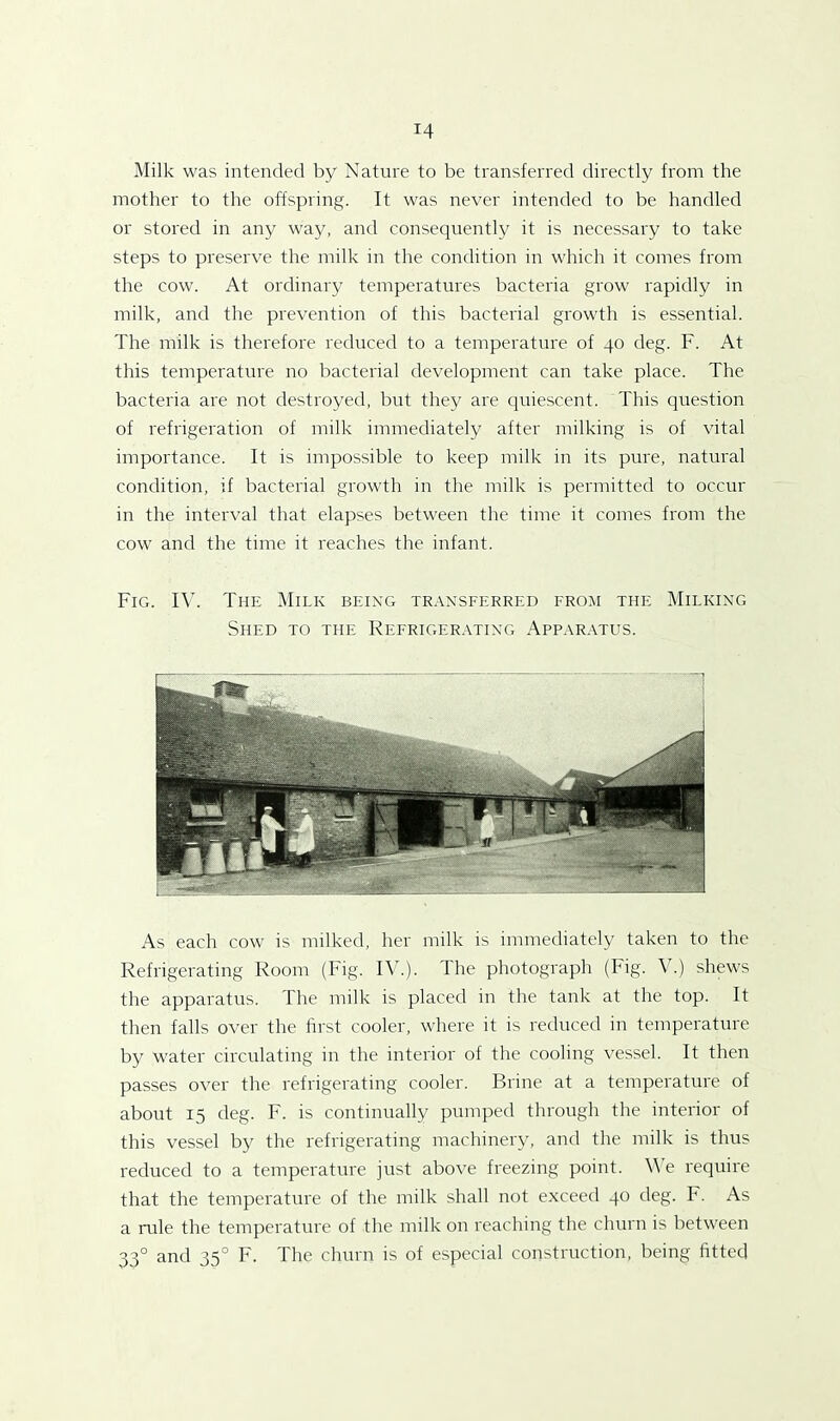Milk was intended by Nature to be transferred directly from the mother to the offspring. It was never intended to be handled or stored in any way, and consequently it is necessary to take steps to preserve the milk in the condition in which it comes from the cow. At ordinary temperatures bacteria grow rapidly in milk, and the prevention of this bacterial growth is essential. The milk is therefore reduced to a temperature of 40 deg. F. At this temperature no bacterial development can take place. The bacteria are not destroyed, but they are quiescent. This question of refrigeration of milk immediately after milking is of vital importance. It is impossible to keep milk in its pure, natural condition, if bacterial growth in the milk is permitted to occur in the interval that elapses between the time it comes from the cow and the time it reaches the infant. Fig. IV. The Milk being transferred from the Milking Shed to the Refrigerating Apparatus. As each cow is milked, her milk is immediately taken to the Refrigerating Room (Fig. IV.). The photograph (Fig. V.) shews the apparatus. The milk is placed in the tank at the top. It then falls over the first cooler, where it is reduced in temperature by water circulating in the interior of the cooling vessel. It then passes over the refrigerating cooler. Brine at a temperature of about 15 deg. F. is continually pumped through the interior of this vessel by the refrigerating machinery, and the milk is thus reduced to a temperature just above freezing point. We require that the temperature of the milk shall not exceed 40 deg. F. As a rule the temperature of the milk on reaching the churn is between 330 and 350 F. The churn is of especial construction, being fitted