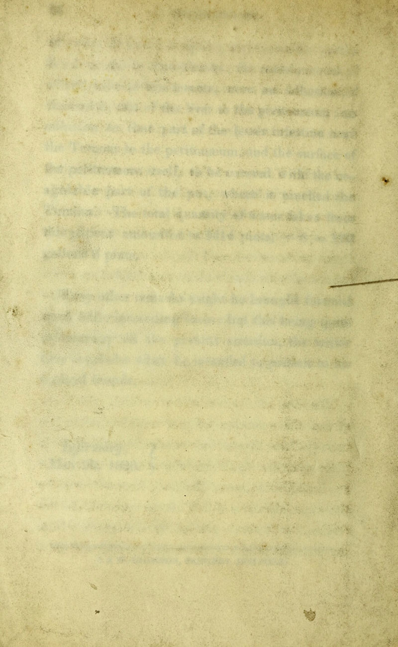 a : k\ ■V x;- '.>■4 %