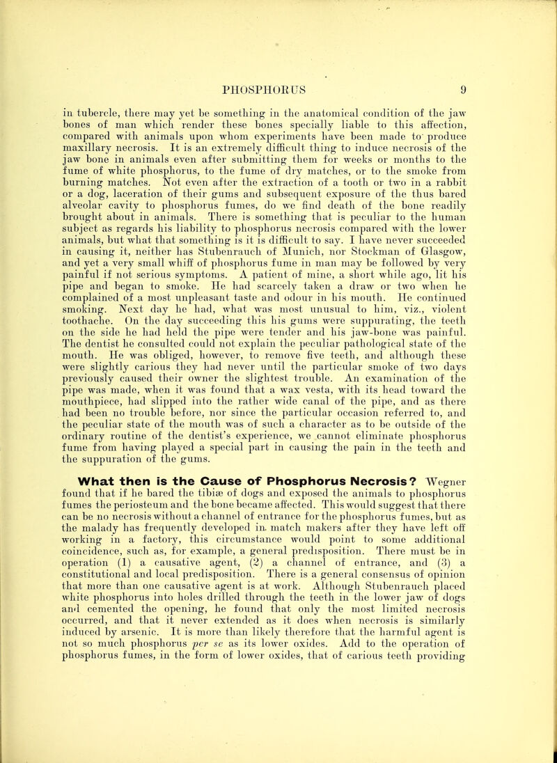 in tubercle, there may yet be something in the anatomical condition of the jaw bones of man which render these bones specially liable to this affection, compared with animals upon whom experiments have been made to' produce maxillary necrosis. It is an extremely difficult thing to induce necrosis of the jaw bone in animals even after submitting them for weeks or months to the fume of white phosphorus, to the fume of dry matches, or to the smoke from burning matches. Not even after the extraction of a tooth or two in a rabbit or a dog, laceration of their gums and subsequent exposure of the thus bared alveolar cavity to phosphorus fumes, do we find death of the bone readily broxight about in animals. There is something that is peculiar to the human subject as regards his liability to phosphorus necrosis compared with the lower animals, but what that something is it is difficult to say. I have never succeeded in causing it, neither has Stubenrauch of Munich, nor Stockman of Glasgow, and yet a very small whiff of phosphorus fume in man may be followed by very painful if not serious symptoms. A patient of mine, a short while ago, lit his pipe and began to smoke. He had scarcely taken a draw or two when he complained of a most unpleasant taste and odour in his mouth. He continued smoking. Next day he had, what was most unusual to him, viz., violent toothache. On the day succeeding this his gums were suppurating, the teeth on the side he had held the pipe were tender and his jaw-bone was painful. The dentist he consulted could not explain the peculiar pathological state of the mouth. He was obliged, however, to remove five teeth, and although these were slightly carious they had never until the particular smoke of two days previously caused their owner the slightest trouble. An examination of the pipe was made, when it was found that a wax vesta, with its head toward the mouthpiece, had slipped into the rather wide canal of the pipe, and as there had been no trouble before, nor since the particular occasion referred to, and the peculiar state of the mouth was of such a character as to be outside of the ordinary routine of the dentist's experience, we cannot eliminate phosphorus fume from having played a special part in causing the pain in the teeth and the suppuration of the gums. What then is the Cause of Phosphorus Necrosis? Wegner found that if he bared the tibiae of dogs and exposed the animals to phosphorus fumes the periosteum and the bone became affected. This would suggest that there can be no necrosis without a channel of entrance for the phosphorus fumes, but as the malady has frequently developed in match makers after they have left off working in a factory, this circumstance would point to some additional coincidence, such as, for example, a general predisposition. There must be in operation (1) a causative agent, (2) a channel of entrance, and (3) a constitutional and local predisposition. There is a general consensus of opinion that more than one causative agent is at work. Although Stubenrauch placed white phosphorus into holes drilled through the teeth in the lower jaw of dogs and cemented the opening, he found that only the most limited necrosis occurred, and that it never extended as it does when necrosis is similarly induced by arsenic. It is more than likely therefore that the harmful agent is not so much phosphorus per se as its lower oxides. Add to the operation of phosphorus fumes, in the form of lower oxides, that of carious teeth providing