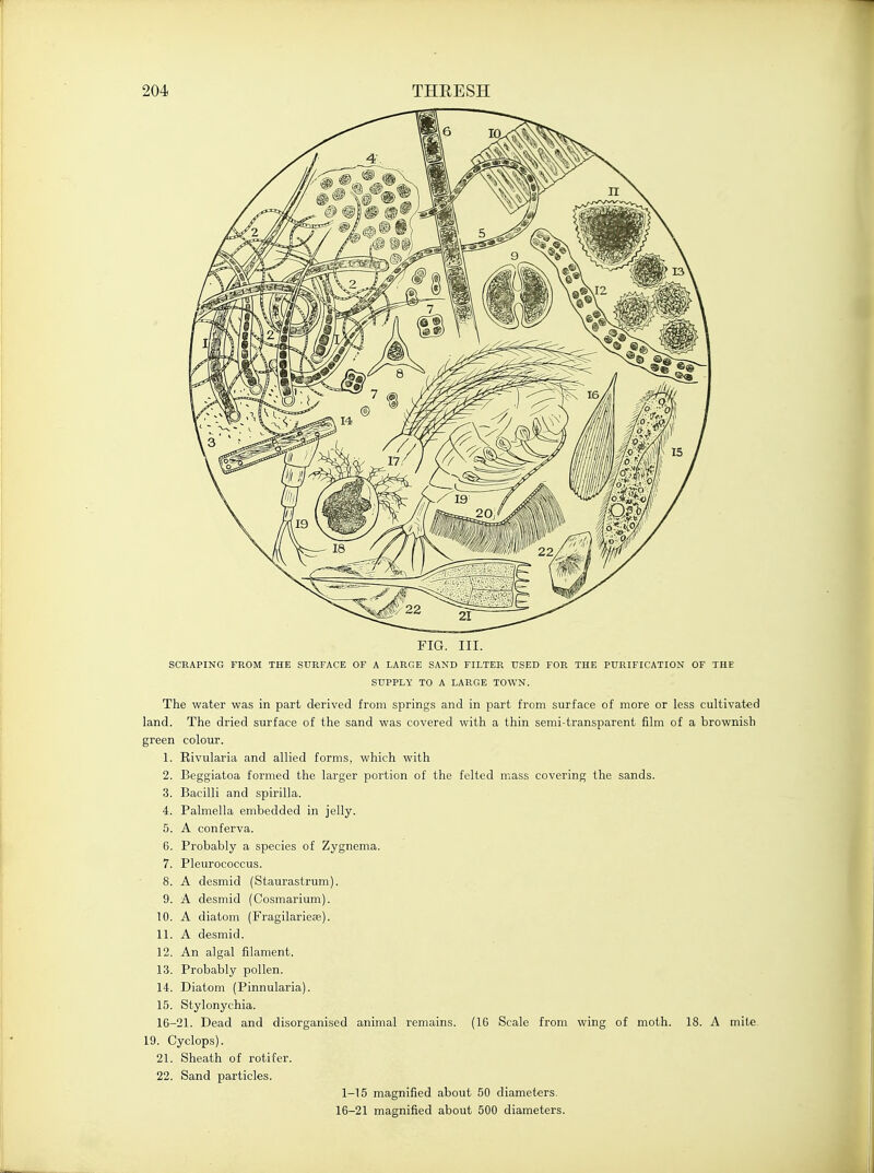 FIG. III. SCRAPING FROM THE SURFACE OF A LARGE SAND FILTER USED FOR THE PURIFICATION OF THE SUPPLY TO A LARGE TOWN. The water was in part derived from springs and in part from surface of more or less cultivated land. The dried surface of the sand was covered with a thin semi-transparent film of a brownish green colour. 1. Rivularia and allied forms, which with 2. Beggiatoa formed the larger portion of the felted mass covering the sands. 3. Bacilli and spirilla. 4. Palmella embedded in jelly. 5. A conferva. 6. Probably a species of Zygnema. 7. Pleurococcus. 8. A desmid (Staurastrum). 9. A desmid (Cosmarium). 10. A diatom (Fragilarieas). 11. A desmid. 12. An algal filament. 13. Probably pollen. 14. Diatom (Pinnularia). 15. Stylonychia. 16-21. Dead and disorganised animal remains. (16 Scale from wing of moth. 18. A mite 19. Cyclops). 21. Sheath of rotifer. 22. Sand particles. 1-15 magnified about 50 diameters. 16-21 magnified about 500 diameters.