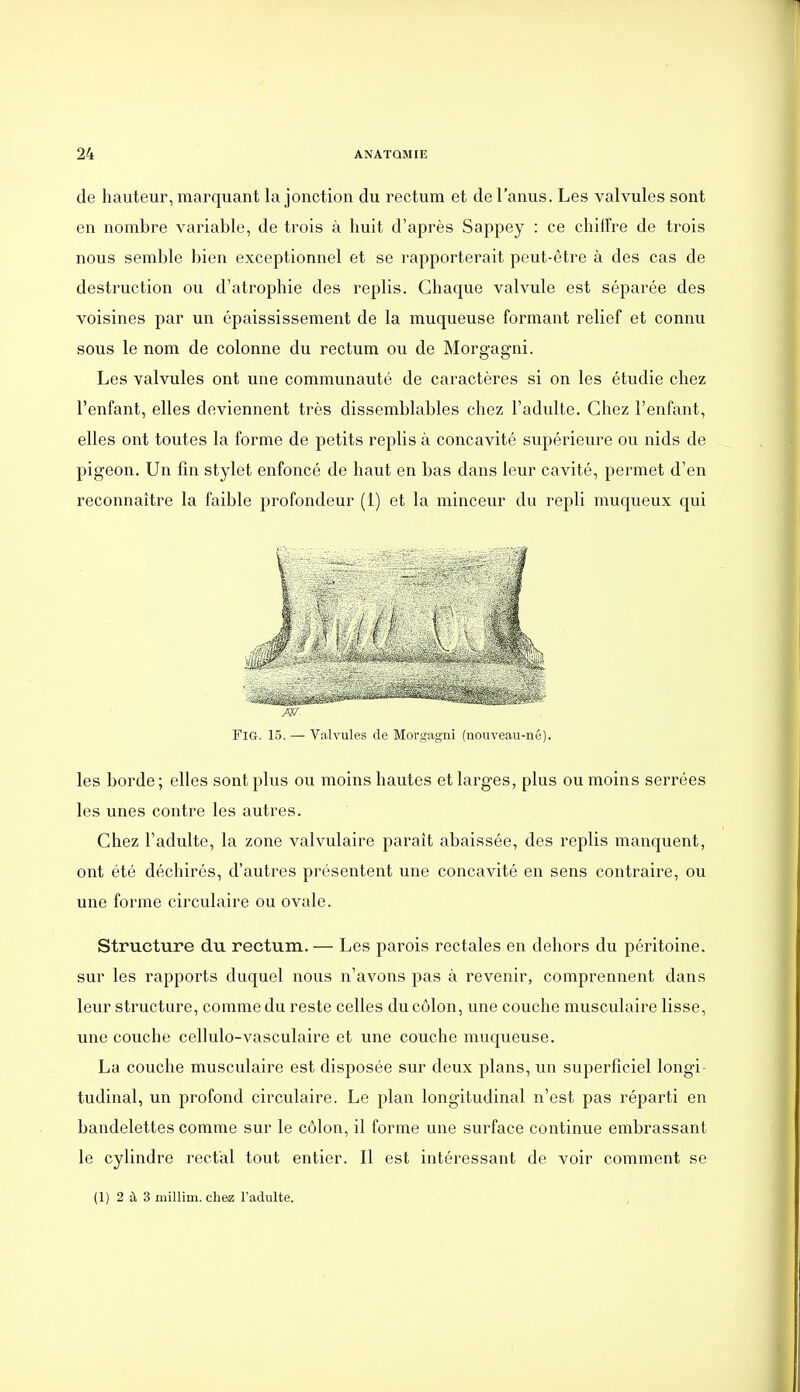 de hauteur, marquant la jonction du rectum et de l'anus. Les valvules sont en nombre variable, de trois à huit d'après Sappey : ce chiffre de trois nous semble bien exceptionnel et se rapporterait peut-être à des cas de destruction ou d'atrophie des replis. Chaque valvule est séparée des voisines par un épaississement de la muqueuse formant relief et connu sous le nom de colonne du rectum ou de Morgagni. Les valvules ont une communauté de caractères si on les étudie chez l'enfant, elles deviennent très dissemblables chez l'adulte. Chez l'enfant, elles ont toutes la forme de petits replis à concavité supérieure ou nids de pigeon. Un fin stylet enfoncé de haut en bas dans leur cavité, permet d'en reconnaître la faible profondeur (1) et la minceur du repli muqueux qui FiG. 15. — Valvules de Morgagni (nouveau-né). les borde; elles sont plus ou moins hautes et larges, plus ou moins serrées les unes contre les autres. Chez l'adulte, la zone valvulaire parait abaissée, des replis manquent, ont été déchirés, d'autres présentent une concavité en sens contraire, ou une forme circulaire ou ovale. Structure du rectum. — Les parois rectales en dehors du péritoine, sur les rapports duquel nous n'avons pas à revenir, comprennent dans leur structure, comme du reste celles du côlon, une couche musculaire lisse, une couche cellulo-vasculaire et une couche muqueuse. La couche musculaire est disposée sur deux plans, un superficiel longi- tudinal, un profond circulaire. Le plan longitudinal n'est pas réparti en bandelettes comme sur le côlon, il forme une surface continue embrassant le cylindre rectal tout entier. Il est intéressant de voir comment se (1) 2 à 3 millim. chez l'adulte.