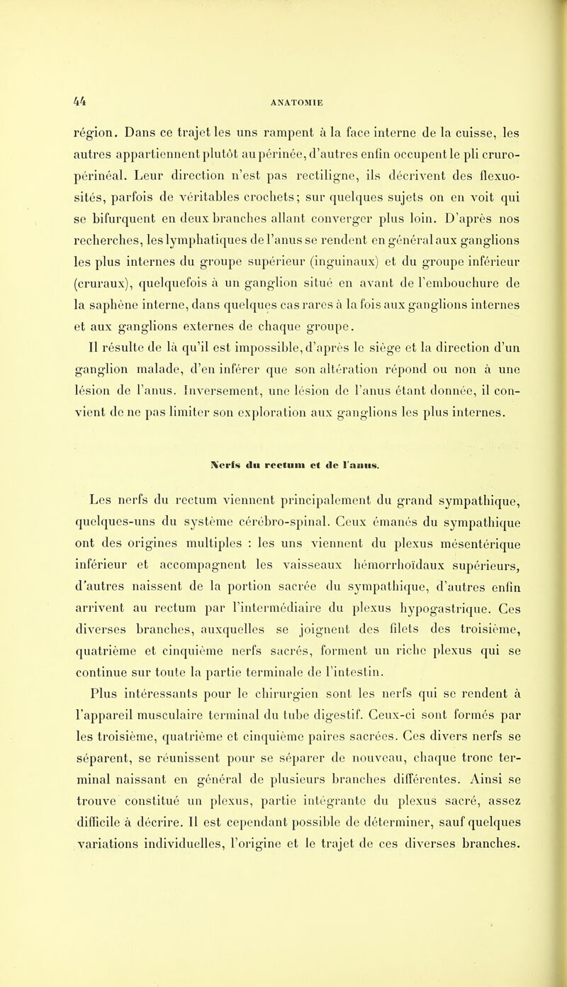 région. Dans ce trajet les uns rampent à la face interne de la cuisse, les autres appartiennent plutôt au périnée, d'autres enfin occupent le pli cruro- périnéal. Leur direction n'est pas rectiligne, ils décrivent des flexuo- sités, parfois de véritables crochets; sur quelques sujets on en voit qui se bifurquent en deux branches allant converger plus loin. D'après nos recherches, les lymphatiques de l'anus se rendent en général aux ganglions les plus internes du groupe supérieur (inguinaux) et du groupe inférieur (cruraux), quelquefois à un ganglion situé en avant de l'embouchure de la saphène interne, dans quelques cas rares à la fois aux ganglions internes et aux ganglions externes de chaque groupe. Il résulte de là qu'il est impossible, d'après le siège et la direction d'un ganglion malade, d'en inférer que son altération répond on non à une lésion de l'anus. Inversement, une lésion de l'anus étant donnée, il con- vient de ne pas limiter son exploration aux ganglions les plus internes. Nerfs du rectum et de l'asiMS. Les nerfs du rectum viennent principalement du grand sympathique, quelques-uns du système cérébro-spinal. Ceux émanés du sympathique ont des origines multiples : les uns viennent du plexus mésentérique inférieur et accompagnent les vaisseaux hémorrhoïdaux supérieurs, d'autres naissent de la portion sacrée du sympathique, d'autres enfin arrivent au rectum par l'intermédiaire du plexus hypogastrique. Ces diverses branches, auxquelles se joignent des filets des troisième, quatrième et cinquième nerfs sacrés, forment un riche plexus qui se continue sur toute la partie terminale de l'intestin. Plus intéressants pour le chirurgien sont les nerfs qui se rendent à l'appareil musculaire terminal du tube digestif. Ceux-ci sont formés par les troisième, quatrième et cinquième paires sacrées. Ces divers nerfs se séparent, se réunissent pour se séparer de nouveau, chaque tronc ter- minal naissant en général de plusieurs branches différentes. Ainsi se trouve constitué un plexus, partie intégrante du plexus sacré, assez difficile à décrire. Il est cependant possible de déterminer, sauf quelques variations individuelles, l'origine et le trajet de ces diverses branches.