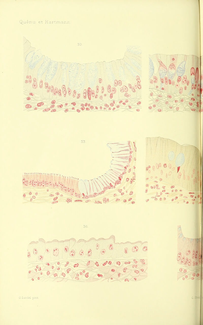 G^uénu et Hartmann 30. # a j) j* 33. 0 I C3S> 0 g) © 36. G.Landel pinx.