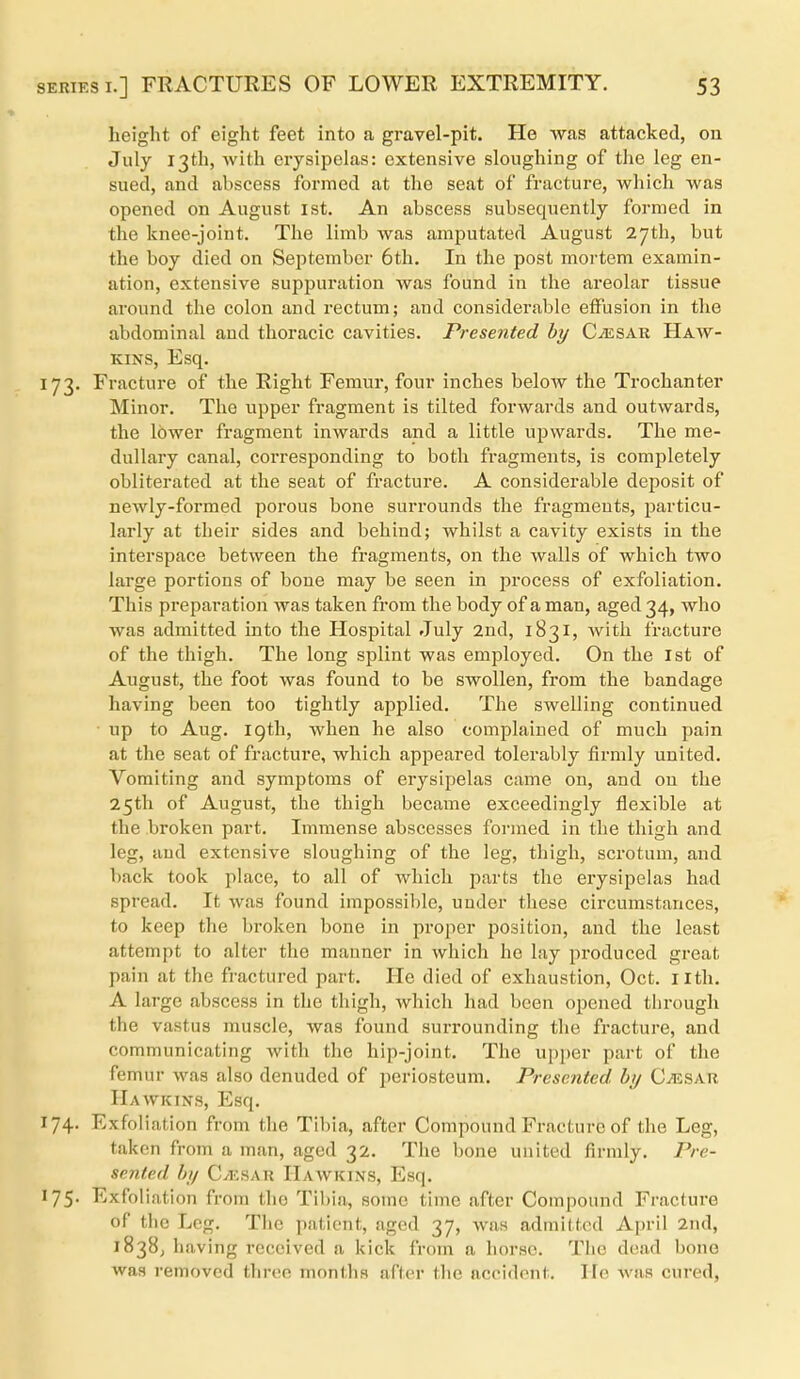 height of eight feet into a gravel-pit. He was attacked, ou July 13th, with erysipelas: extensive sloughing of the leg en- sued, and abscess formed at the seat of fracture, wliich was opened on August ist. An abscess subsequently formed in the knee-joint. The limb was amputated August 27th, but the boy died on September 6th. In the post mortem examin- ation, extensive suppuration was found in the areolar tissue around the colon and rectum; and considerable elFusion in the abdominal and thoracic cavities. Presented by CiESAR Haw- kins, Esq. 173. Fracture of the Right Femur, four inches below the Trochanter Minor. The upper fragment is tilted forwards and outwards, the lower fragment inwards and a little upwards. The me- dullary canal, corresponding to both fragments, is completely obliterated at the seat of fracture. A considerable deposit of newly-formed porous bone surrounds the fragments, particu- larly at their sides and behind; whilst a cavity exists in the interspace between the fragments, on the walls of which two large portions of bone may be seen in process of exfoliation. This preparation was taken from the body of a man, aged 34, who was admitted into the Hospital July 2ud, 1831, Avith fracture of the thigh. The long splint was employed. On the 1st of August, the foot was found to be swollen, from the bandage having been too tightly applied. The swelling continued ■ up to Aug. igth, when he also complained of much pain at the seat of fracture, which appeared tolerably firmly united. Vomiting and symptoms of erysipelas came on, and on the 25th of August, the thigh became exceedingly flexible at the broken part. Immense abscesses formed in the thigh and leg, aud extensive sloughing of the leg, thigh, scrotum, and back took place, to all of which parts the erysipelas had spread. It was found impossible, under these circumstances, to keep the broken bone in proper position, and the least attempt to alter the manner in which he lay produced great pain at the fractured part. He died of exhaustion, Oct. ilth. A large abscess in the thigh, which had been opened through the vastus muscle, was found surrounding the fracture, and communicating with the hip-joint. The upper part of the femur was also denuded of periosteum. Presented, by C^sar Hawkins, Esq. 174. Exfoliation from the Tibia, after Compound Fracture of the Leg, taken from a man, aged 32. The bone united firmly. Pre- sented by CvKSAu Hawkins, Esq. 175- Exfoliation from the Tibia, some time after Compound Fracture of the Leg. The patient, aged 37, was admitted April 2nd, 1838; having received a kick from a horse. The dead bone was removed three months aflcr the accident. lie was cured,