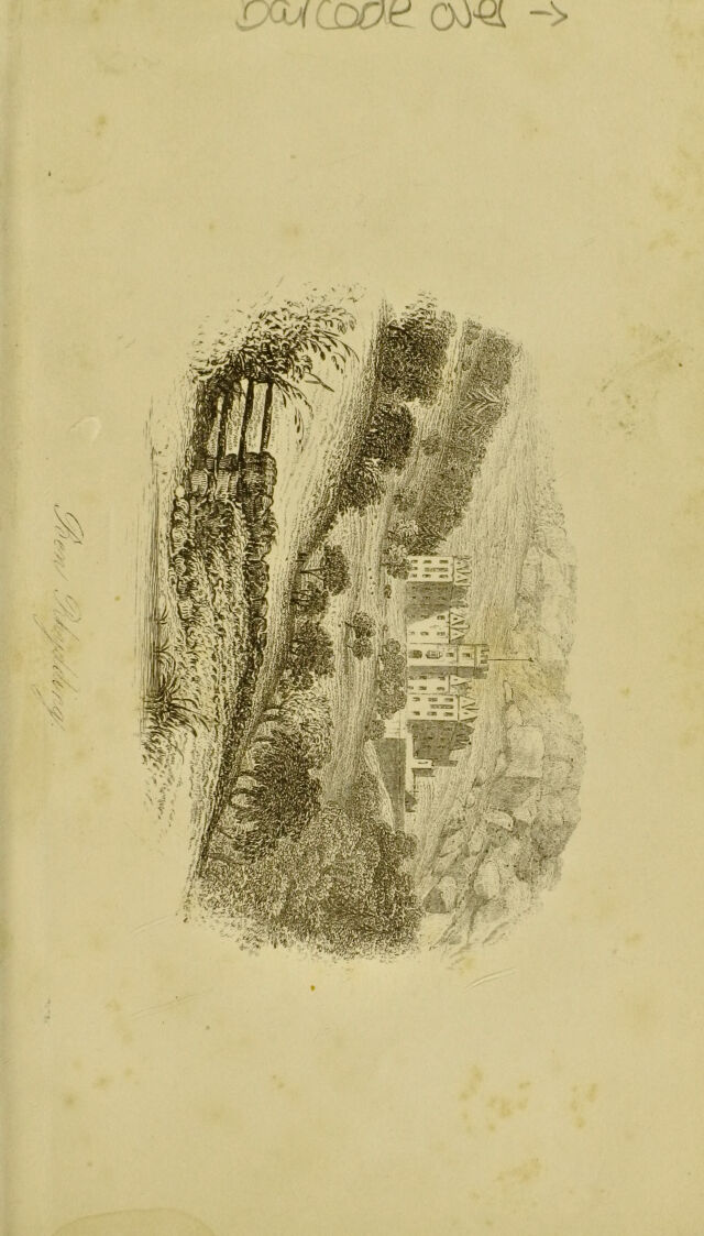 digitised image 3
