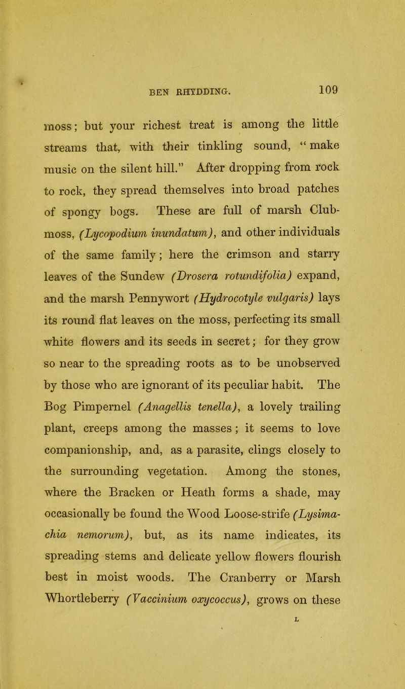 moss; but your richest treat is among the little streams that, with their tinkling sound, “make music on the silent hill.” After dropping from rock to rock, they spread themselves into broad patches of spongy bogs. These are full of marsh Club- moss, (Lycopodium inundatum), and other individuals of the same family; here the crimson and starry leaves of the Sundew (Drosera rotundifolia) expand, and the marsh Pennywort (Hydrocotyle vulgaris) lays its round flat leaves on the moss, perfecting its small white flowers and its seeds in secret; for they grow so near to the spreading roots as to be unobseiwed by those who are ignorant of its peculiar habit. The Bog Pimpernel (Anagellis tenella), a lovely trailing plant, creeps among the masses; it seems to love companionship, and, as a parasite, clings closely to the surrounding vegetation. Among the stones, where the Bracken or Heath forms a shade, may occasionally be found the Wood Loose-strife (Lysima- chia nemorum), but, as its name indicates, its spreading stems and delicate yellow flowers flourish best in moist woods. The Cranberry or Marsh Whortleberry (Vaccinium occycoccus), grows on these