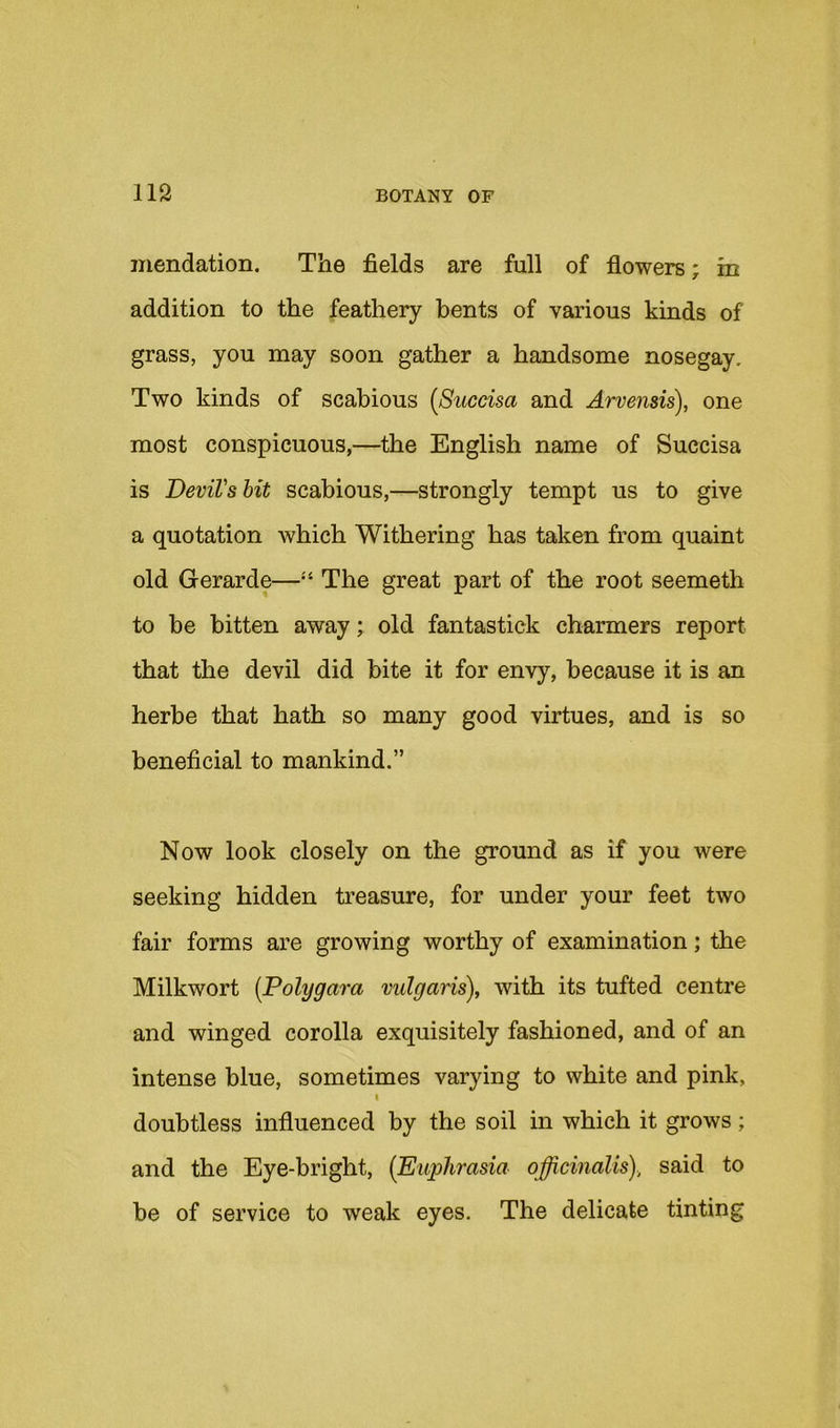 mendation. The fields are full of flowers; in addition to the feathery bents of various kinds of grass, you may soon gather a handsome nosegay. Two kinds of scabious {Succisa and Arvensis), one most conspicuous,—the English name of Succisa is DeviVshit scabious,—strongly tempt us to give a quotation which Withering has taken from quaint old Gerarde—The great part of the root seemeth to be bitten away; old fantastick charmers report that the devil did bite it for envy, because it is an herbe that hath so many good virtues, and is so beneficial to mankind.” Now look closely on the ground as if you were seeking hidden treasure, for under your feet two fair forms are growing worthy of examination; the Milkwort [Polygara vulgaris), with its tufted centre and winged corolla exquisitely fashioned, and of an intense blue, sometimes varying to white and pink, I doubtless influenced by the soil in which it grows; and the Eye-bright, {Euphrasia officinalis)., said to be of service to weak eyes. The delicate tinting