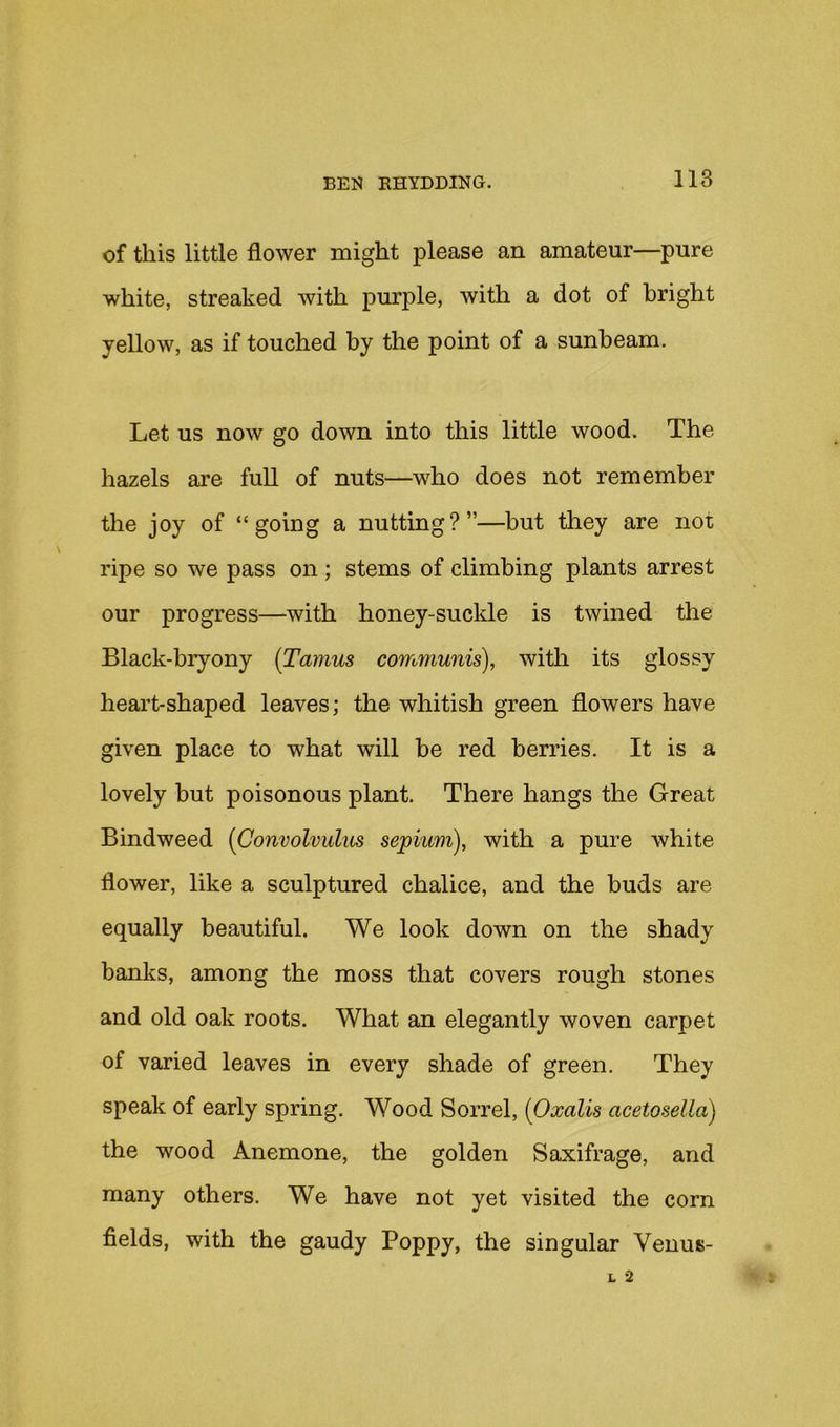 of this little flower might please an amateur—pure white, streaked with purple, with a dot of bright yellow, as if touched by the point of a sunbeam. Let us now go down into this little wood. The hazels are full of nuts—who does not remember the joy of “going a nutting?”—but they are not ripe so we pass on ; stems of climbing plants arrest our progress—with honey-suckle is twined the Black-bryony {Tamus communis), with its glossy heart-shaped leaves; the whitish green flowers have given place to what will be red berries. It is a lovely but poisonous plant. There hangs the Great Bindweed {Convolvulus sepium), with a pure white flower, like a sculptured chalice, and the buds are equally beautiful. We look down on the shady banks, among the moss that covers rough stones and old oak roots. What an elegantly woven carpet of varied leaves in every shade of green. They speak of early spring. Wood Sorrel, {Oxalis acetosella) the wood Anemone, the golden Saxifrage, and many others. We have not yet visited the corn fields, with the gaudy Poppy, the singular Venus-
