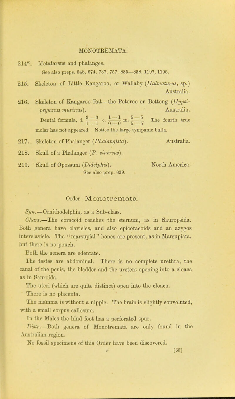 214*'. Metatarsus and phalanges. See also preps, 548, 674, 737, 757, 835—838, 1197,1198. 215. Skeleton of Little Kangaroo, or Wallaby [Halmaturus, sp.) Australia. 216. Skeleton of Kangaroo-Rat—the Potoroo or Bettong {Hypsi- prymnus murinus). Australia. Q n -j^ ^ g g Dental formula, i. c. -—- m. -—_. The fourth true 1 — 1 0 — 0 5 — 5 molar has not appeared. Notice the large tympanic bulla. 217.. Skeleton of Phalanger (Phalangista). Australia, 218. Skull of a Phalanger (P. cinereus). 219, Skull of Opossum (Didelphis). North America, See also prep. 839. Order Monotremata. Syn.—Ornithodelphia, as a Sub-class, Chars.—The coracoid reaches the sternum, as in Sauropsida, Both genera have clavicles, and also epicoracoids and an azygos interclavicle. The marsupial bones are present, as in Marsupiata, but there is no pouch. Both the genera are edentate. The testes are abdominal. There is no complete urethra, the canal of the penis, the bladder and the ureters opening into a cloaca as in Sauroida. The uteri (which are quite distinct) open into the cloaca. There is no placenta. The mamma is without a nipple. The brain is slightly convoluted, with a small corpus callosum. In the Males the hind foot has a perforated spur. Distr.—Both genera of Monotremata are only found in the Australian region. No fossil specimens of this Order have been discovered. F [65]