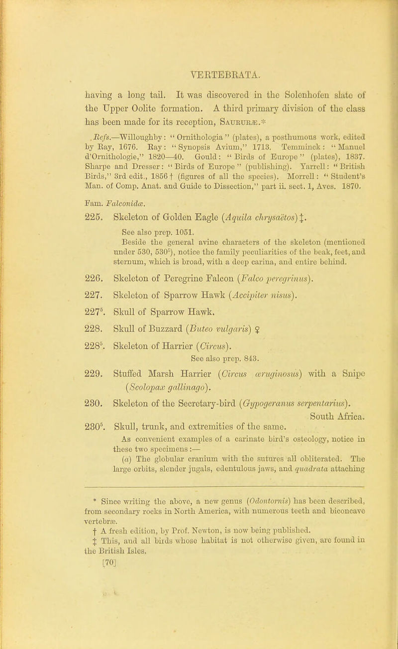 having a long tail. It was discovered in the Solenhofeu slate of the Upper Oolite formation. A third primary division of the class has been made for its reception, SAUEUEiE. .Eefs.—'Willougliby:  Ornithologia  (plates), a postliumoiis work, edited by Eay, 1676. Bay :  Synopsis Avium, 1713. Teinminck :  Manuel d'Ornitliologie, 1820—40. Gould: Birds of Europe (plates), 1837. Sliarpe and Dresser:  Birds of Europe (publishing). YaiTcU: British Birds, 3rd edit,, 1856 t (figures of all the si^ecies). Morrell: Student's Man. of Comp. Anat. and Guide to Dissection, part ii. sect. 1, Aves. 1870. Earn. Falconidce. 225. Skeleton of Golden Eagle (Aquila chrysaetos)\. See also prep. 1051. Beside the general avine characters of the skeleton (mentioned iinder 530, 530^), notice the family peculiarities of the beak, feet, and sternum, which is broad, with a deeji carina, and entire behind. 22G. Skeleton of Peregrine Falcon {Falco peregrinus). 227. Skeleton of Sparrow Hawk [Acci^nter nisiis). 227^ Skull of Sparrow Hawk. 228. Skull of Buzzard {Buteo vulgaris) $ 228^ Skeleton of Harrier {Circus). See also prep. 843. 229. Stuflfed Marsh Harrier {Circus ceruginosus) with a Snipe {Scolopax gallinago). 230. Skeleton of the Secretary-bird {Oypogeranus serpentarius). South Africa. 230^. Skull, trunk, and extremities of the same. As convenient examples of a carinate bu'd's osteology, notice in these two specimens :— («) The globiUar cranium with the sutiu'es all obliterated. The large orbits, slender jugals, edentulous jaws, and quadrata attaching * Since writing the above, a new genus [Odontornis) has been described, fi'om secondary rocks in North America, with numerous teeth and biconcave veiiebraj. f A fresh edition, by Prof. Newton, is now being published, j This, and all birds whoso habitat is not otherwise given, arc foimd in the British Isles. t70J