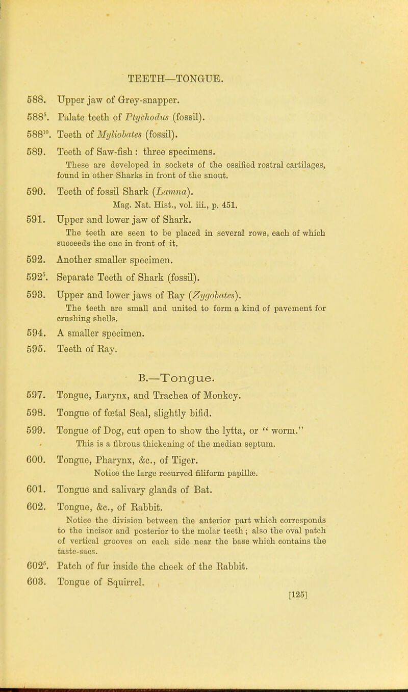 TEETH—TONGUE. 588. Upper jaw of Grey-snapper. 588*. Palate teeth of Ptychodus (fossil). 588'. Teeth of ilfi/Zioiates (fossil). 589. Teeth of Saw-fish : three specimens. These are developed in sockets of the ossified rostral cartilages, found in other Sharks in front of the snout. 590. Teeth of fossil Shark (Lmnna). Mag. Nat. Hist., vol. iii,, p. 451. 591. Upper and lower jaw of Shark. The teeth are seen to be placed in several rows, each of which succeeds the one in front of it. 592. Another smaller specimen. 5921 Separate Teeth of Shark (fossH). 593. Upper and lower jaws of Eay (Zygobates). The teeth are small and united to form a kind of pavement for crushing shells. 594. A smaller specimen. 595. Teeth of Kay. B.—Tongue. 597. Tongue, Larynx, and Trachea of Monkey. 598. Tongue of foetal Seal, slightly bifid. 599. Tongue of Dog, cut open to show the lytta, or  worm. This is a fibrous thickening of the median septum. 600. Tongue, Pharynx, &c., of Tiger. Notice the large recui-ved filiform papUlffl. 601. Tongue and salivary glands of Bat. 602. Tongue, &c., of Eabbit. Notice the division between the anterior part which corresponds to the incisor and posterior to the molar teeth ; also the oval patch of vertical grooves on each side near the base which contains the taste-sacs. 602^ Patch of fur inside the cheek of the Eabbit. 603. Tongue of Squin-el. , [125]