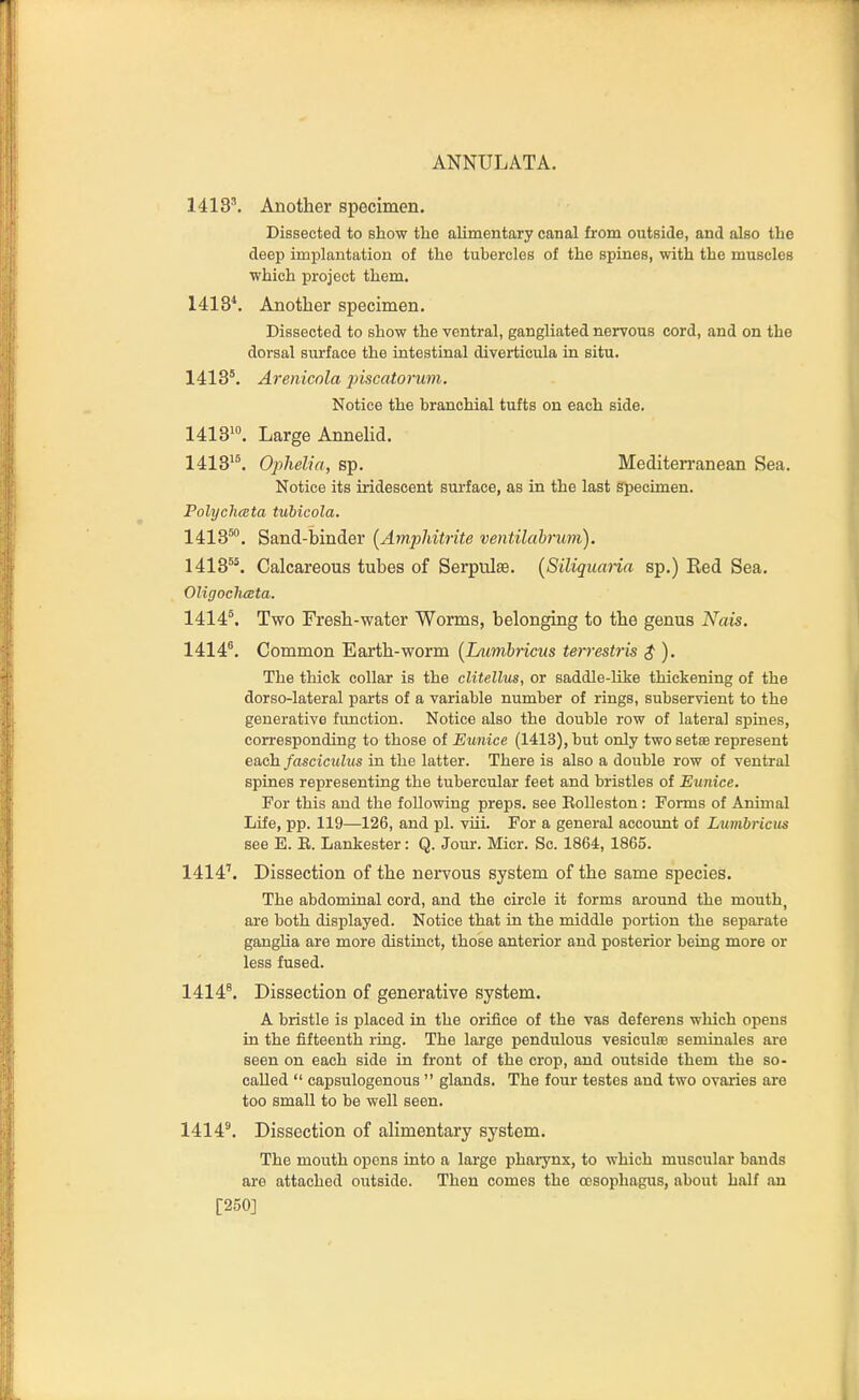 14131 Another specimen. Dissected to show the alimentary canal from outside, and also the deep implantation of the tubercles of the spines, with the muscles which project them. 1413*. Another specimen. Dissected to show the ventral, gangliated nervous cord, and on the dorsal surface the intestinal diverticula in situ. 1418*. Arenicola jnscatorum. Notice the branchial tufts on each side. 1413^°. Large Annelid. 1413. Ophelia, sp. Mediten'anean Sea. Notice its iridescent sui'face, as in the last Specimen. PolyclicBta tubicola. 1413^. Sand-binder (Amphitrite ventilabrum). 1413^*. Calcareous tubes of Serpulse. {Siliquana sp.) Red Sea. OligochcEta. 1414®. Two Fresh-water Worms, belonging to the genus Nais. 1414^. Common Earth-worm {lAimbricus terrestris $ ). The thick collar is the clitellus, or saddle-like thickening of the dorso-lateral parts of a variable number of rings, subservient to the generative function. Notice also the double row of lateral spines, corresponding to those of Ewiice (1413), but only two setae represent each, fasciculus in the latter. There is also a double row of ventral spines representing the tubercular feet and bristles of Eunice. For this and the following preps, see RoUeston : Forms of Animal Lite, pp. 119—126, and pi. viii. For a general account of Lumbricus see E. E. Lankester: Q. Joui-. Micr. Sc. 1864, 1865. 1414'. Dissection of the nervous system of the same species. The abdominal cord, and the circle it forms around the mouth, are both displayed. Notice that in the middle portion the separate ganglia are more distinct, those anterior and posterior being more or less fused. 1414^. Dissection of generative system. A bristle is placed in the orifice of the vas deferens which opens in the fifteenth ring. The large pendulous vesiculffi semiuales are seen on each side in front of the crop, and outside them the so- called  capsulogenous  glands. The four testes and two ovaiies are too small to be well seen. 1414^ Dissection of alimentary system. The mouth opens into a large pharynx, to which muscular bands are attached outside. Then comes the oesophagus, about half an [250]